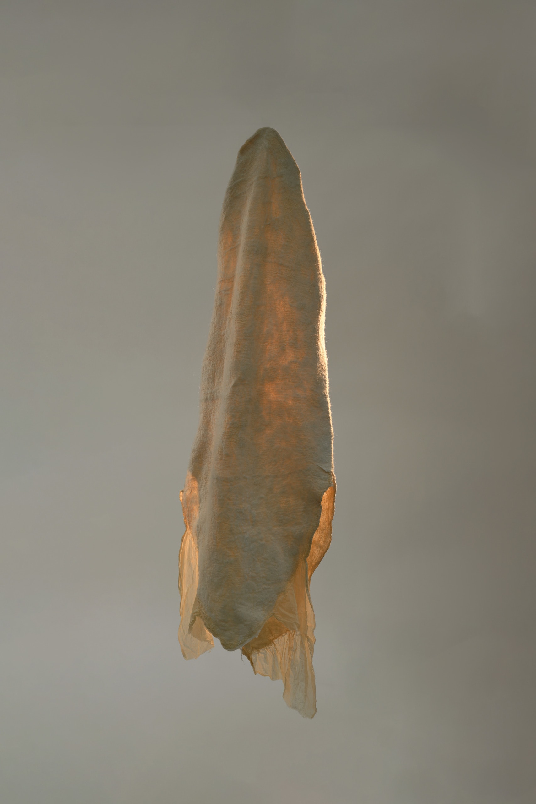 Suspended cocoon-shaped device