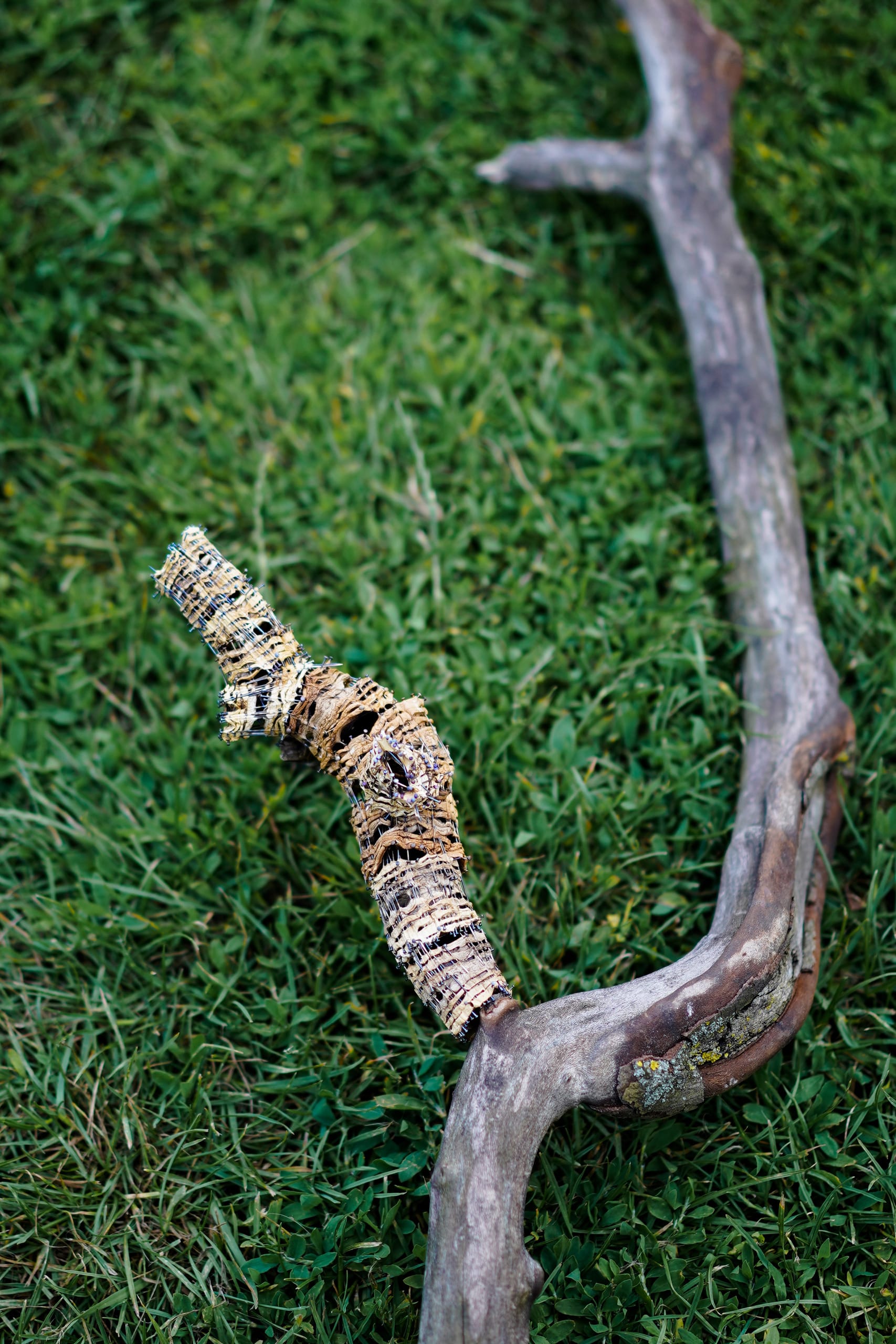 mushroom branch object