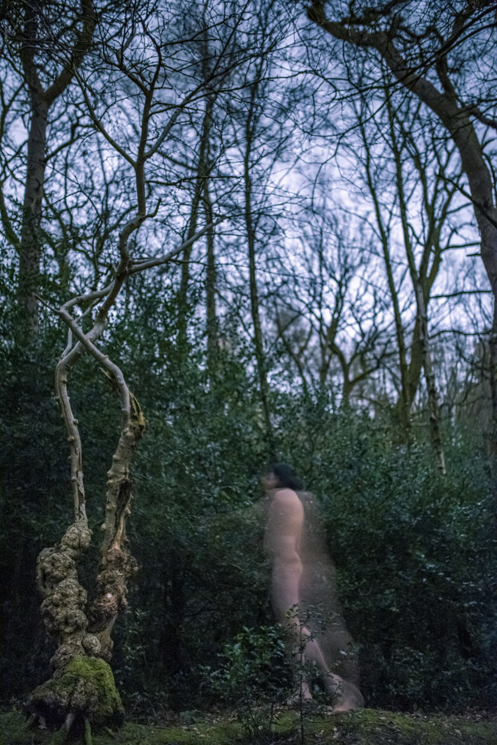 A naked man standing in the middle of a forest at dusk, next to a tree trunk with mossy roots