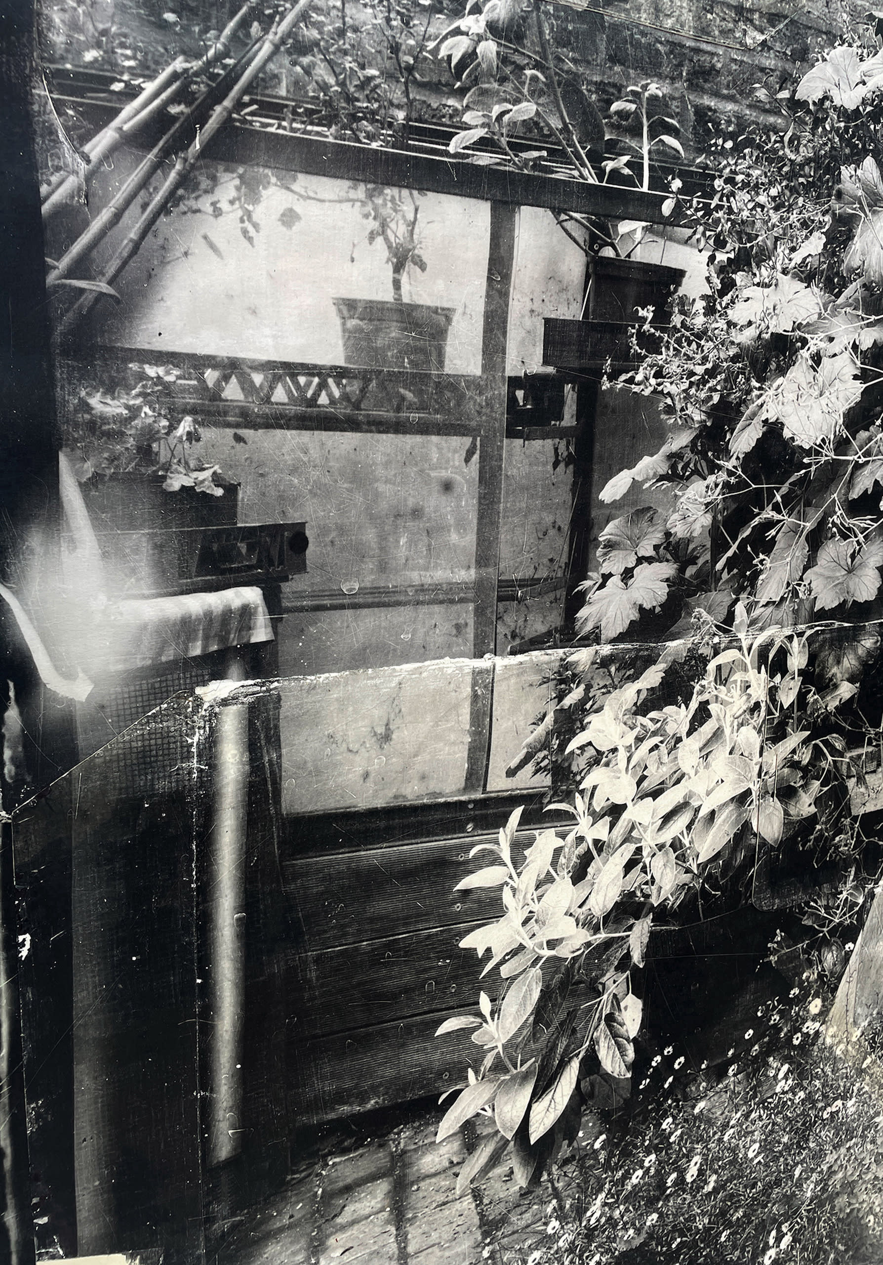 a black and white photographic section of a larger print showing an image of a plant pot and cascading flowers 