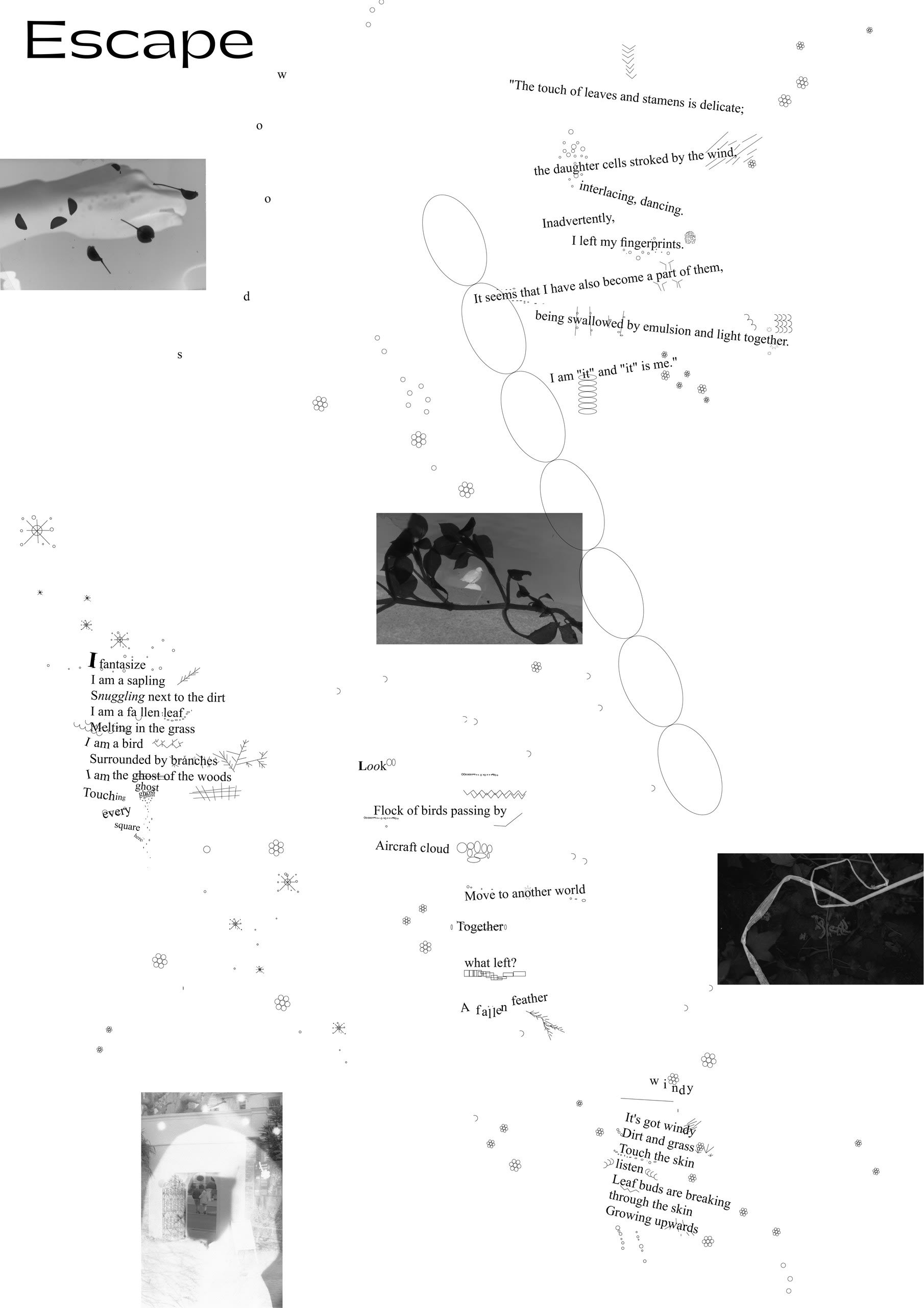 [untitled]