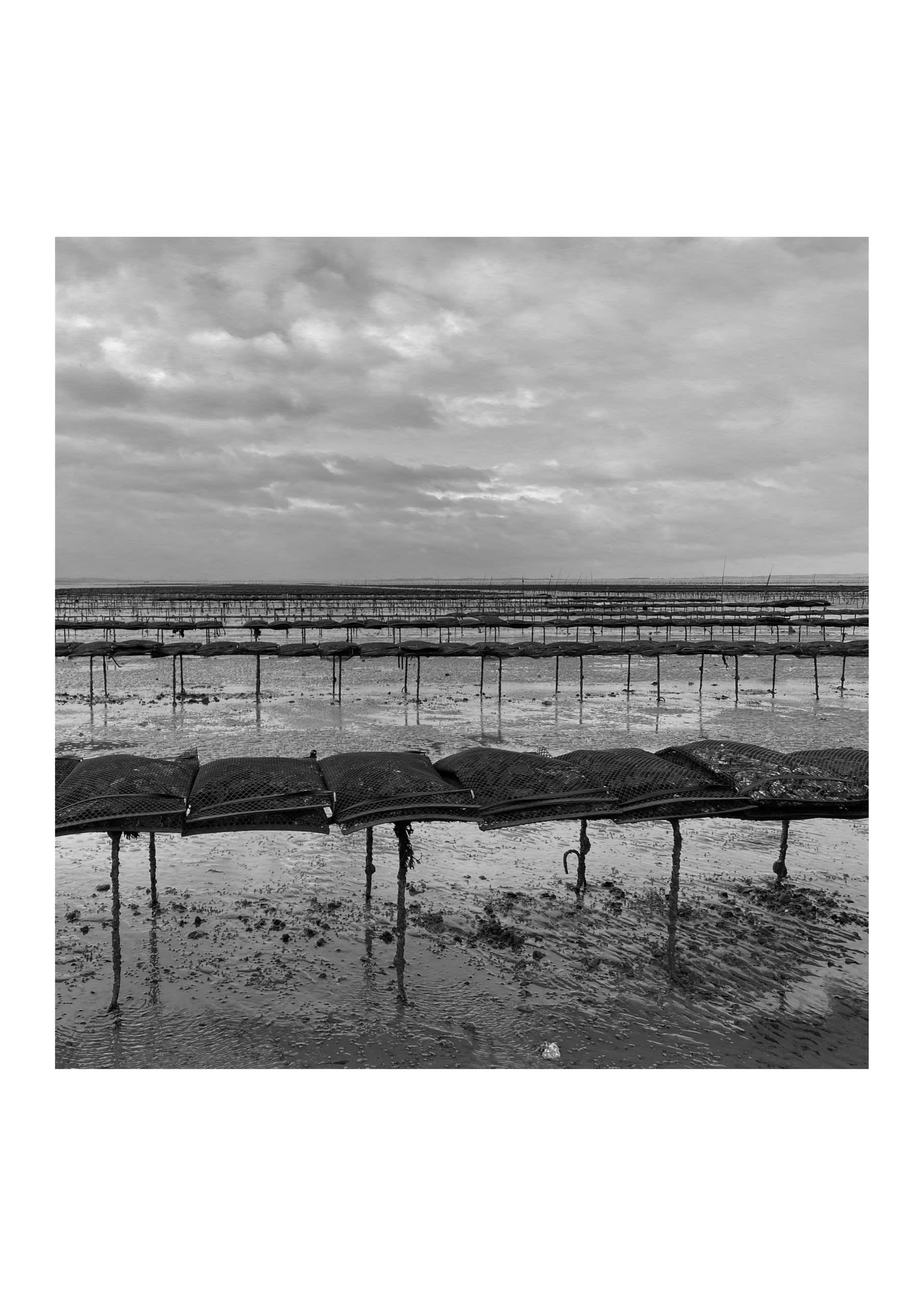 oyster trestles on whitstable beach