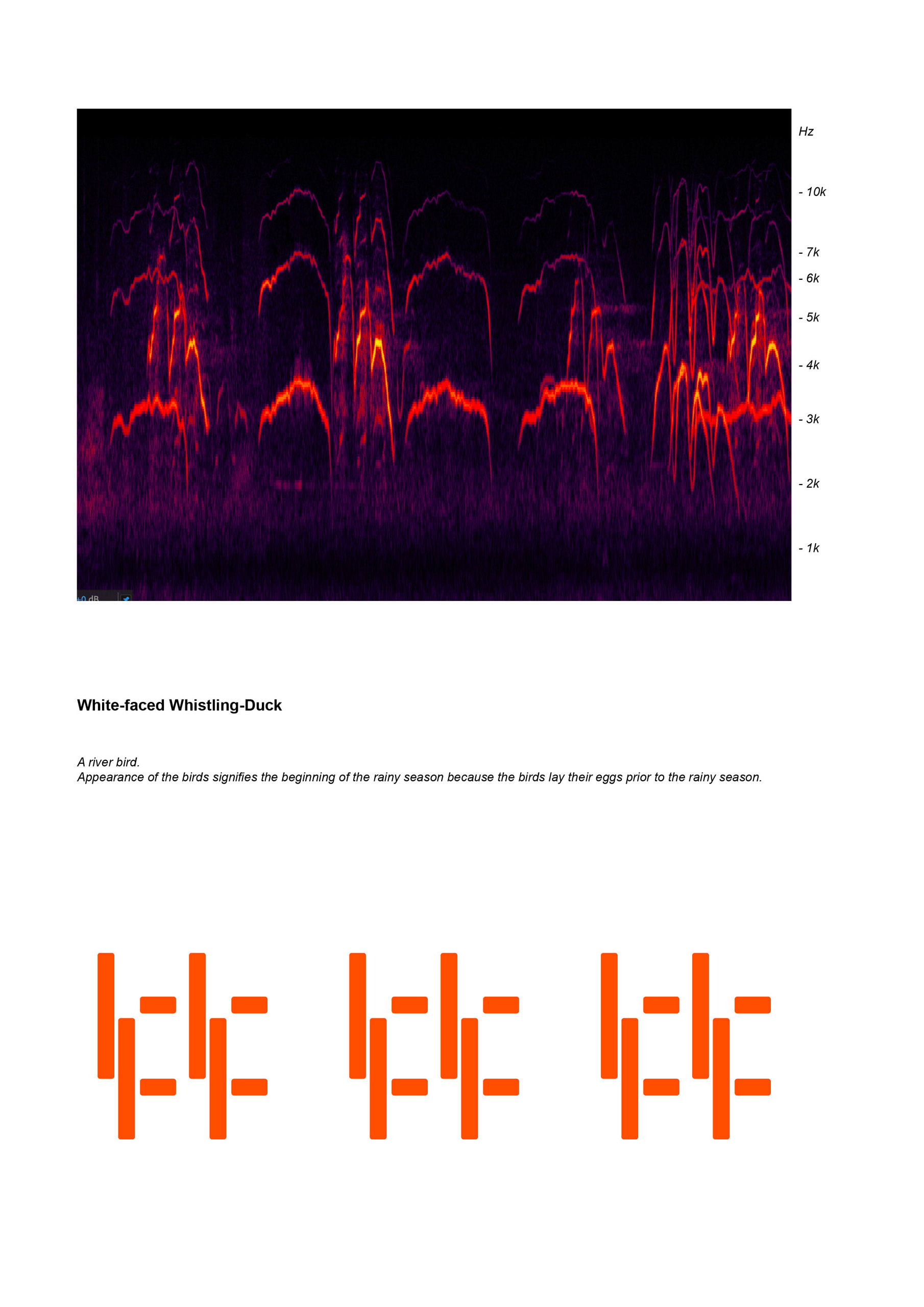 sound archive