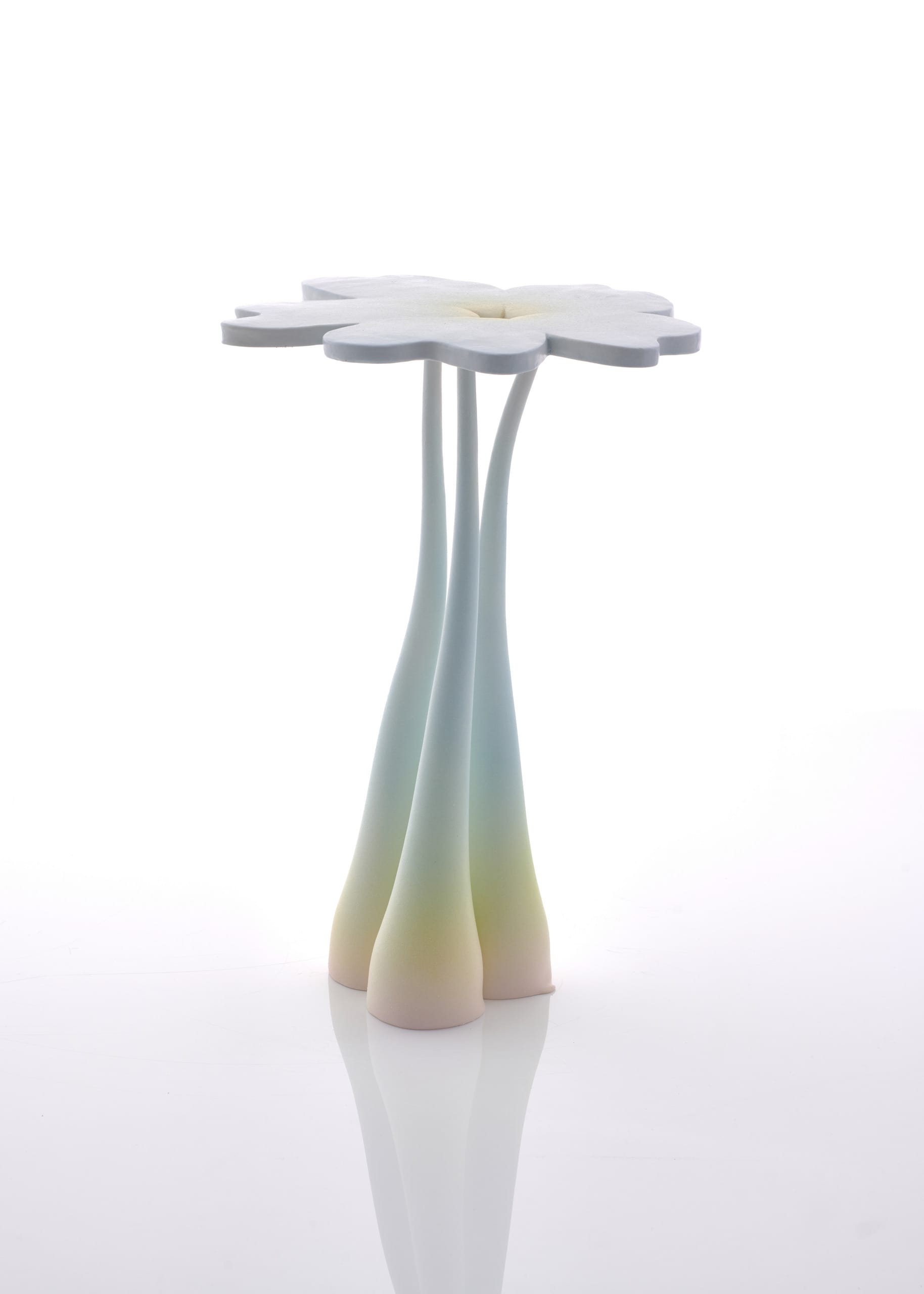 Blue primrose table