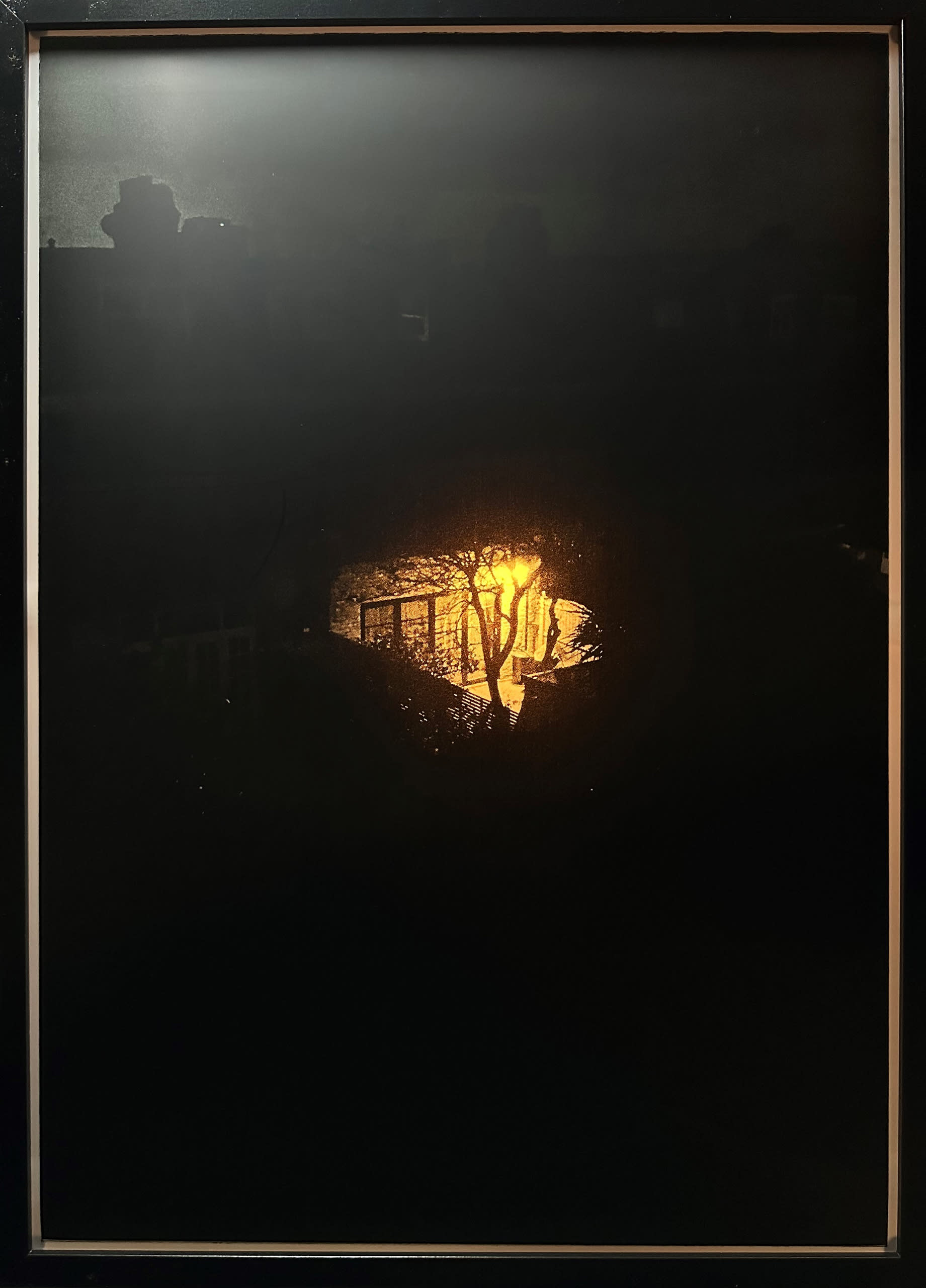 light Y