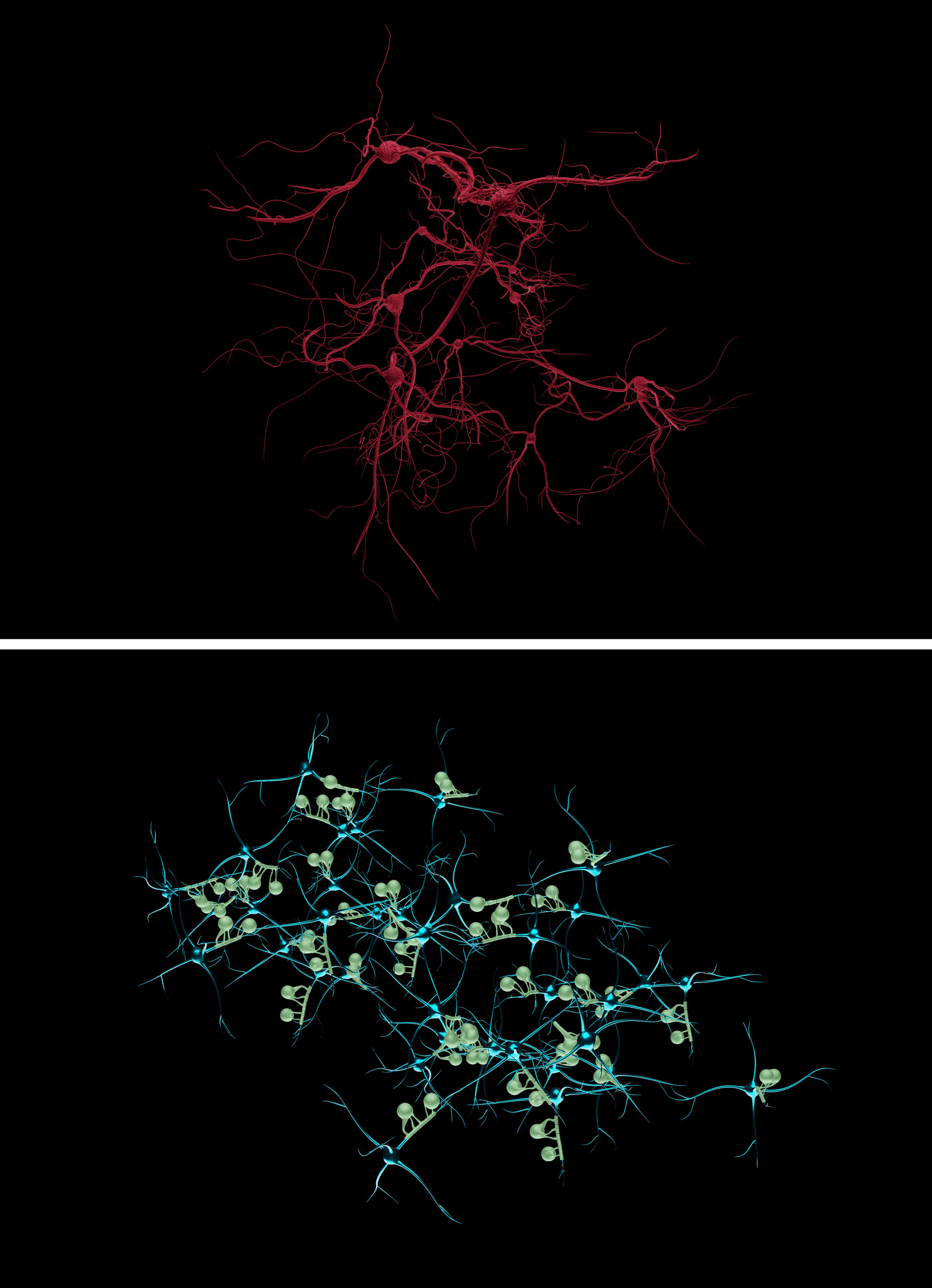 Metal veins and cells