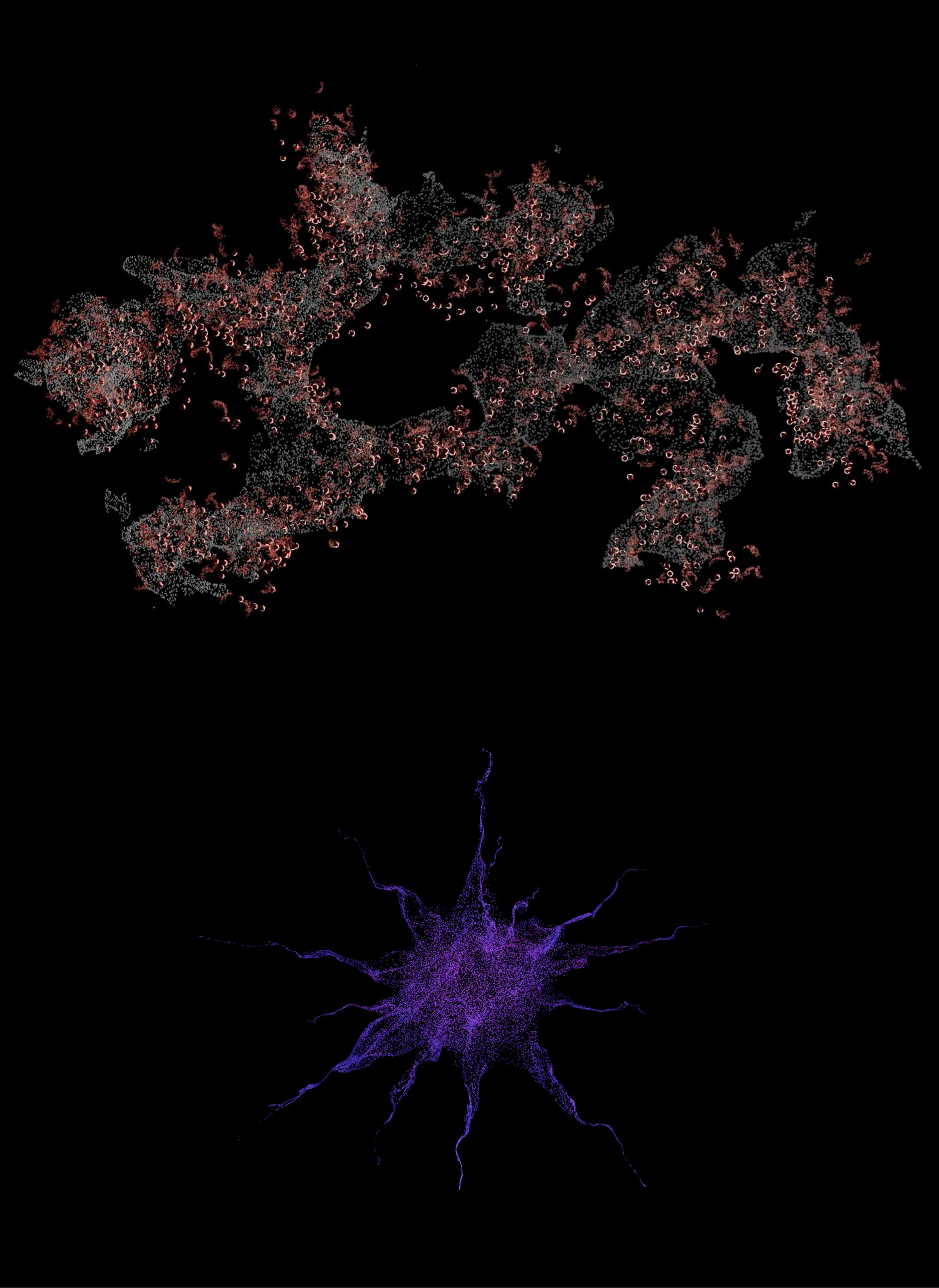 Particle simulation of microbiome