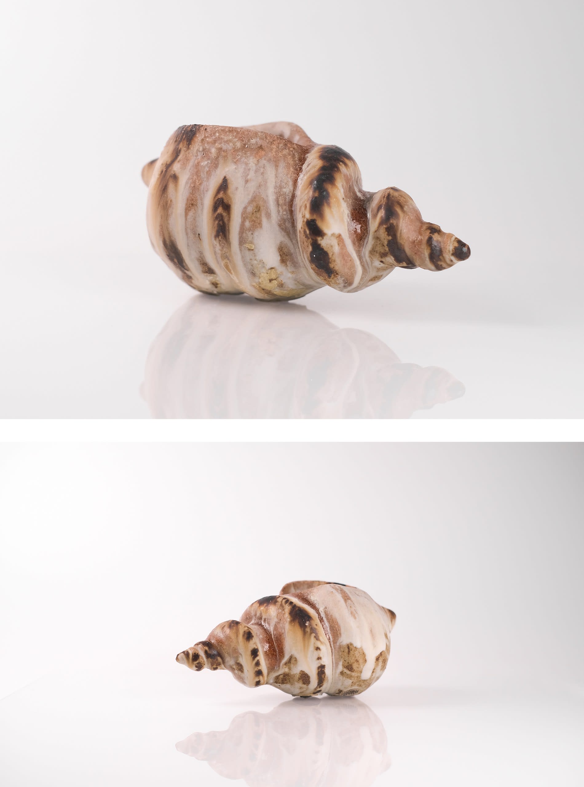 Ceramic shell _ 2021