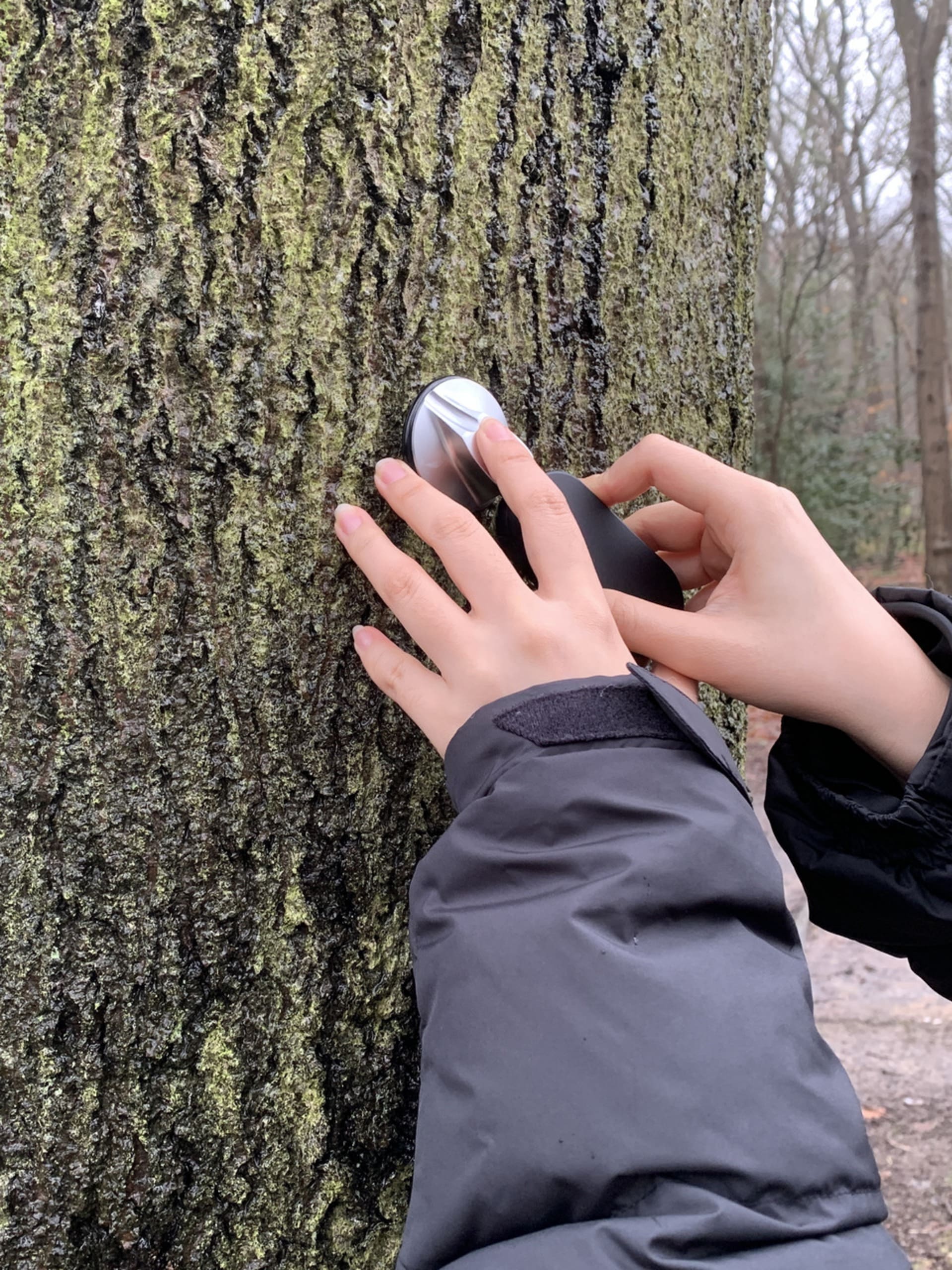 Record the water sound of plant roots