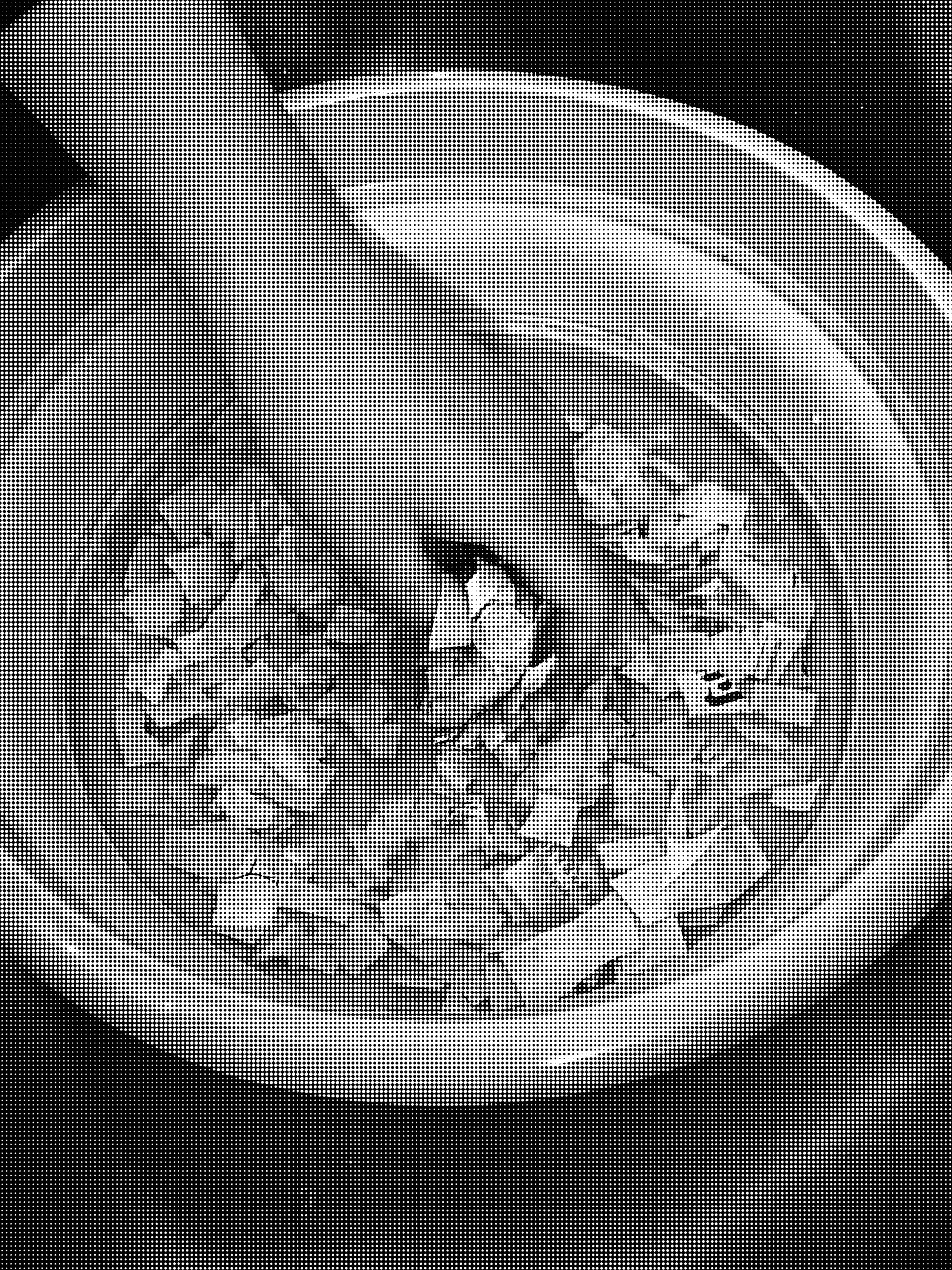 Seed paper making process: mix water with cut paper.