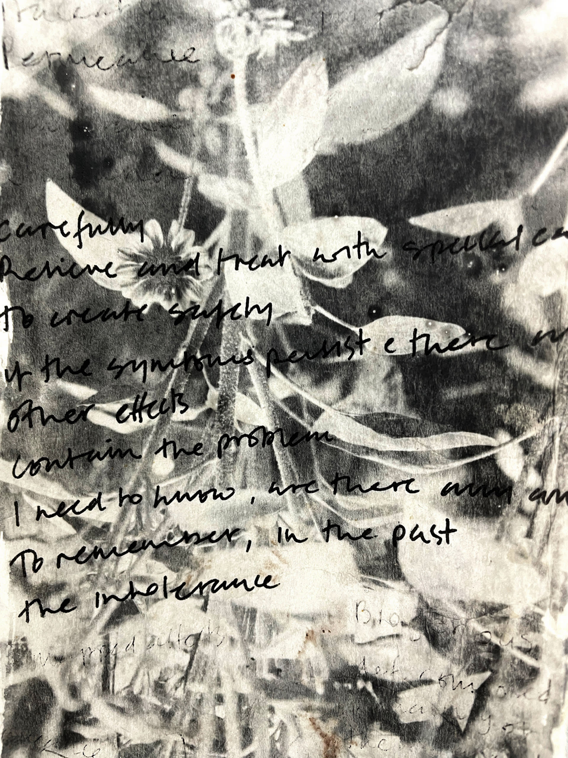 black and white blurred photograph of plants in a garden with hand written text on top