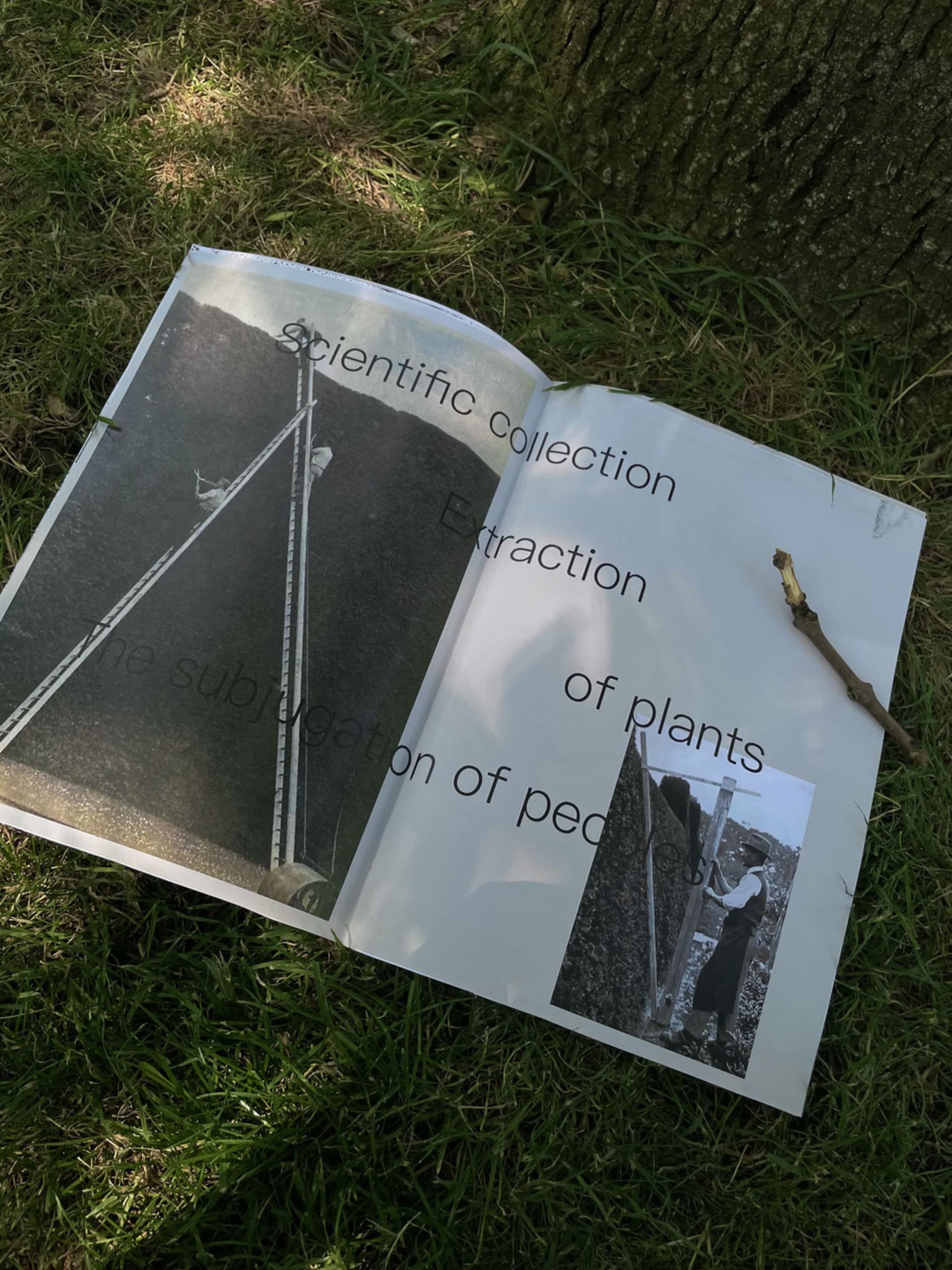 A publication of moss