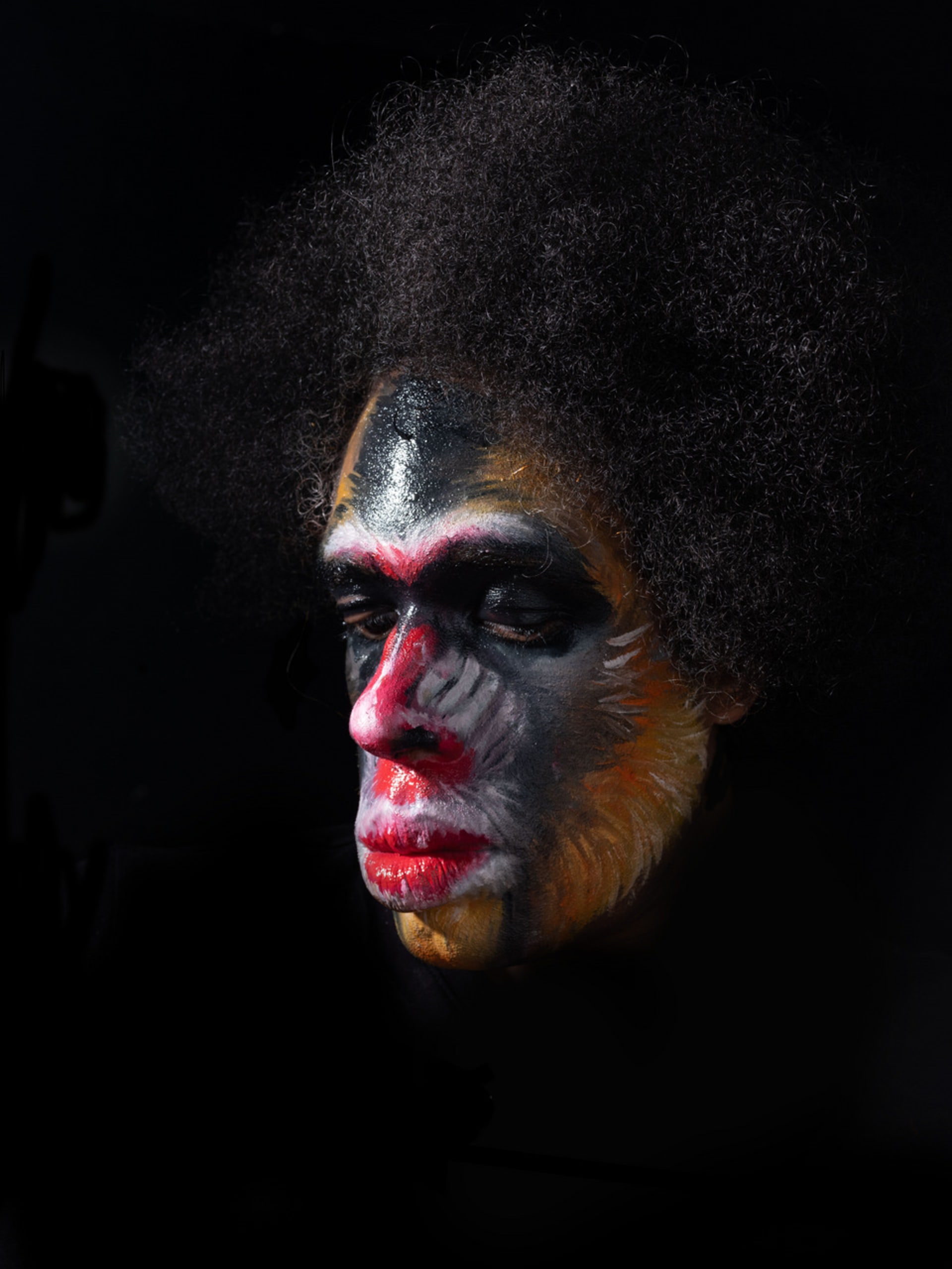 A photography of me as a mandrill by using face paints in a black background to created that dramatic effect.
 