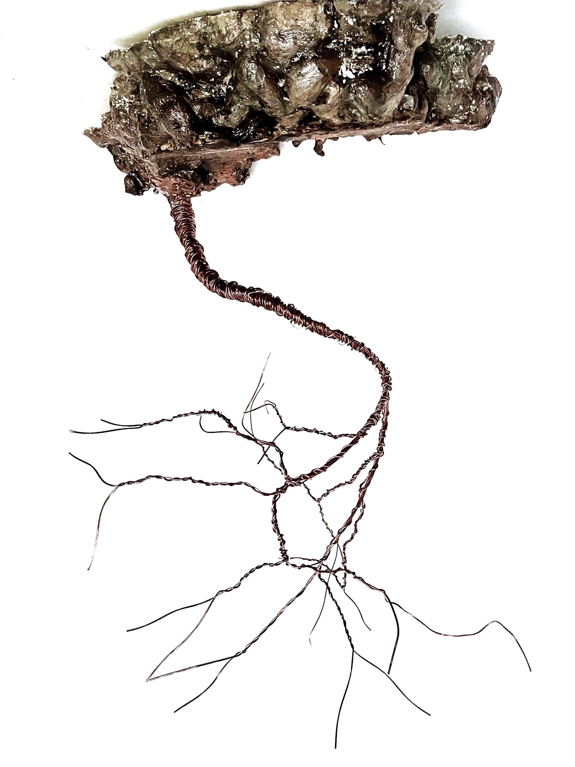 A sculpture of roots.