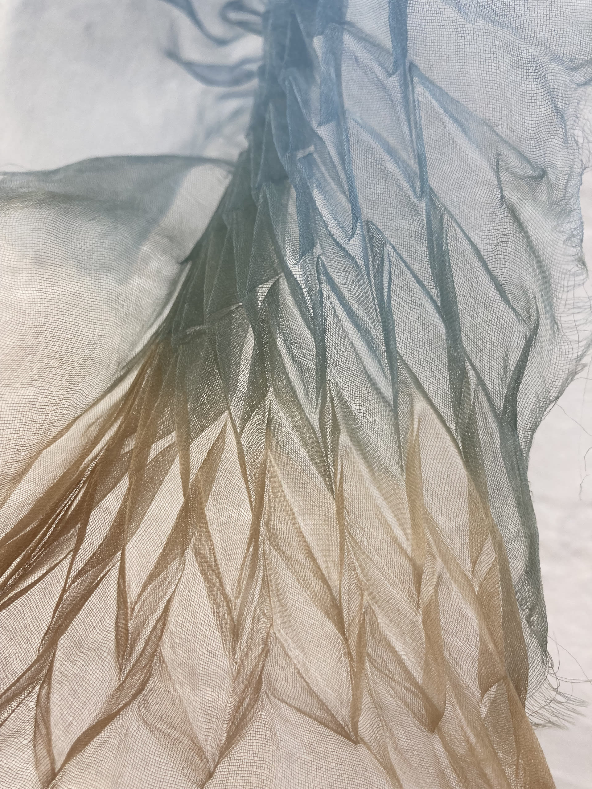 close up on naturally dyed organza silk with natural light