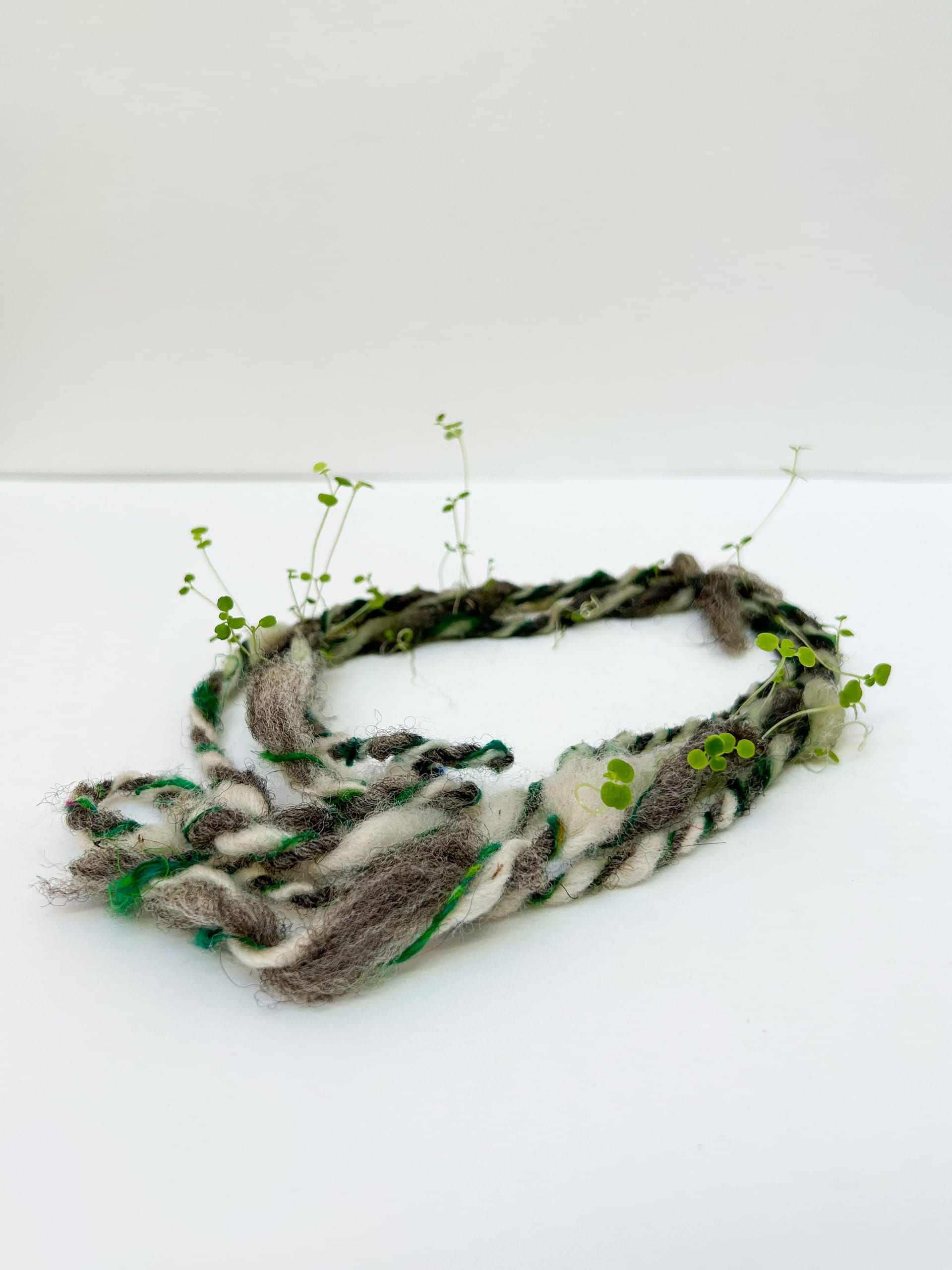  small amount of wool/silk yarn placed in the centre of a plain background with plants growing out of it in random directions