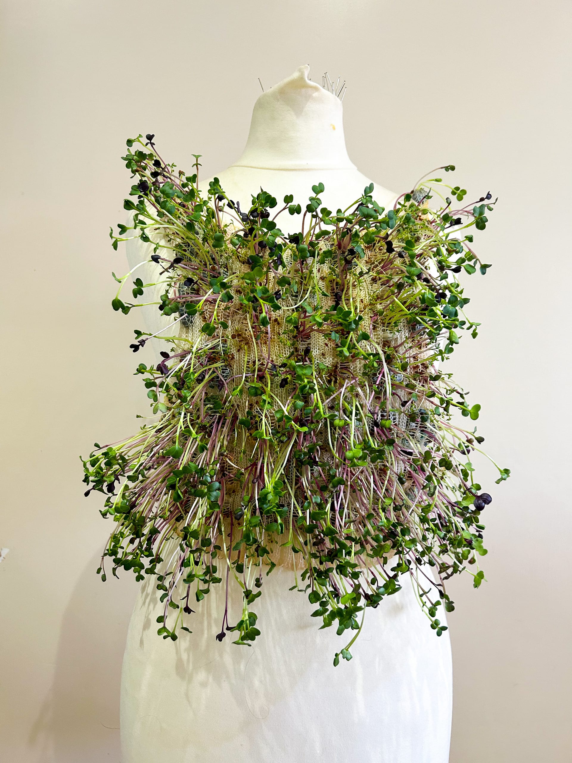 growing plants knitted vest top on dress stand, stand facing forward