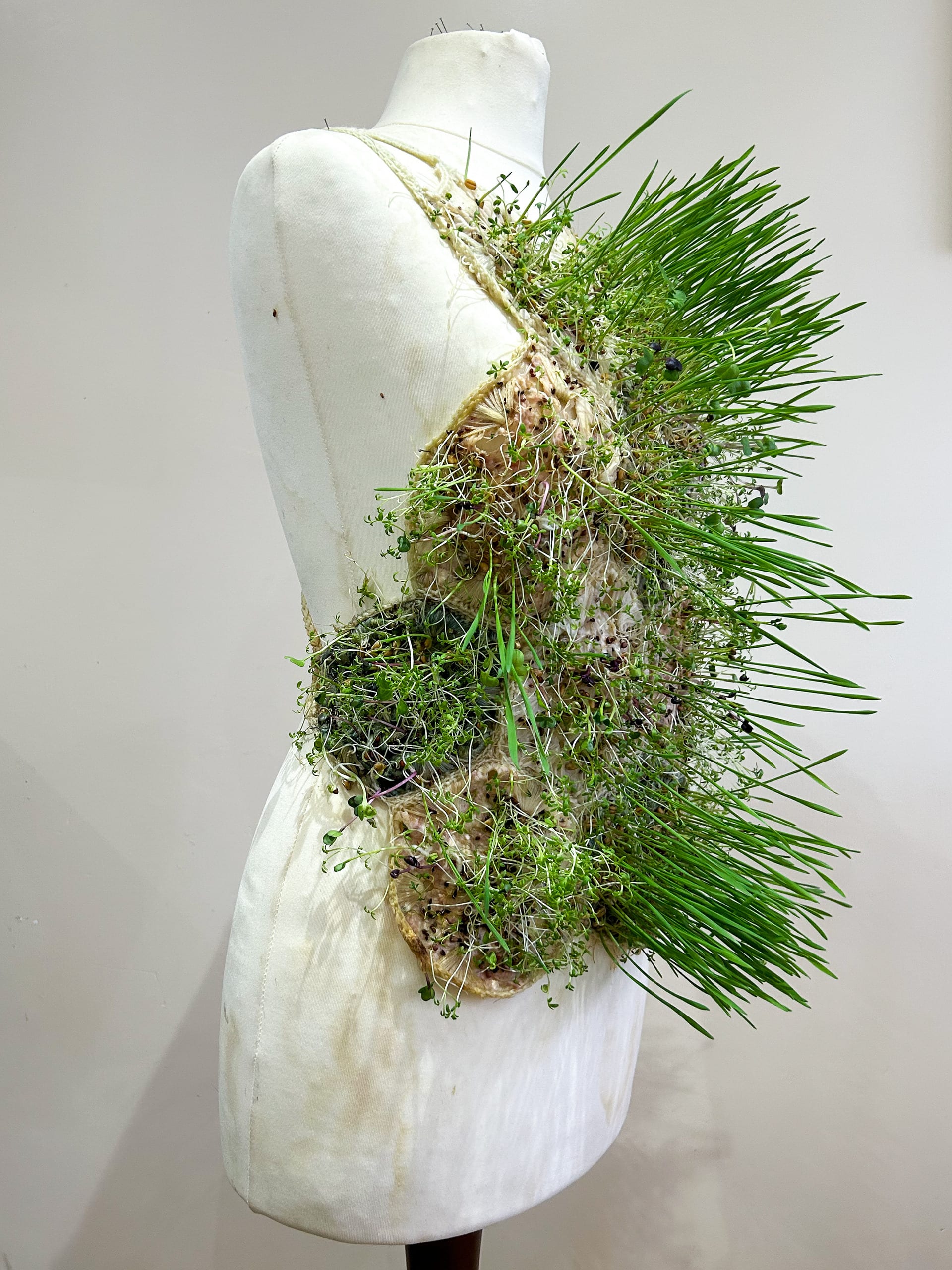 fully grown symbiosis top on dress stand, angled to the right. Made of crocheted paper with plants growing out of it.