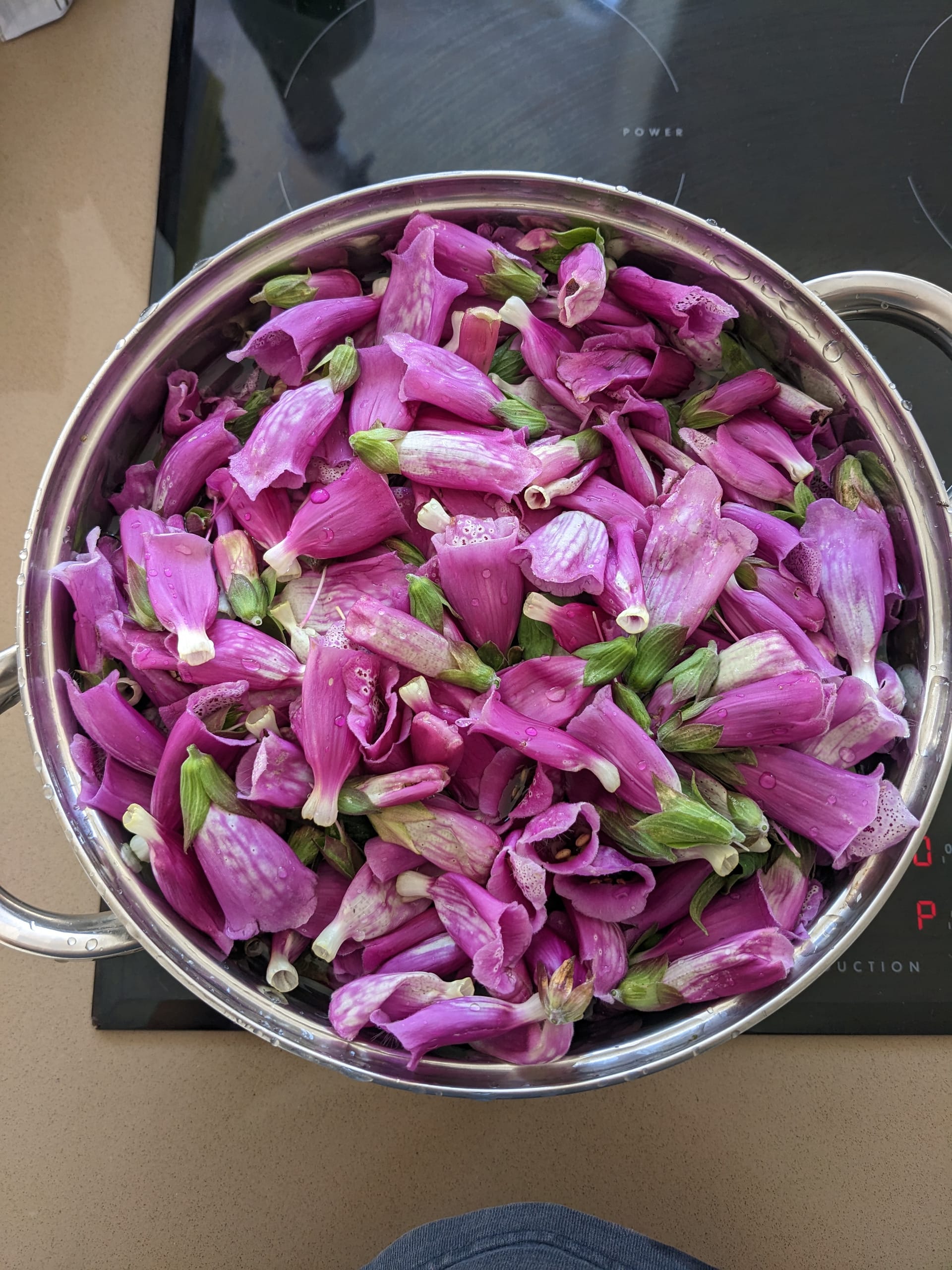 Dye Preparation