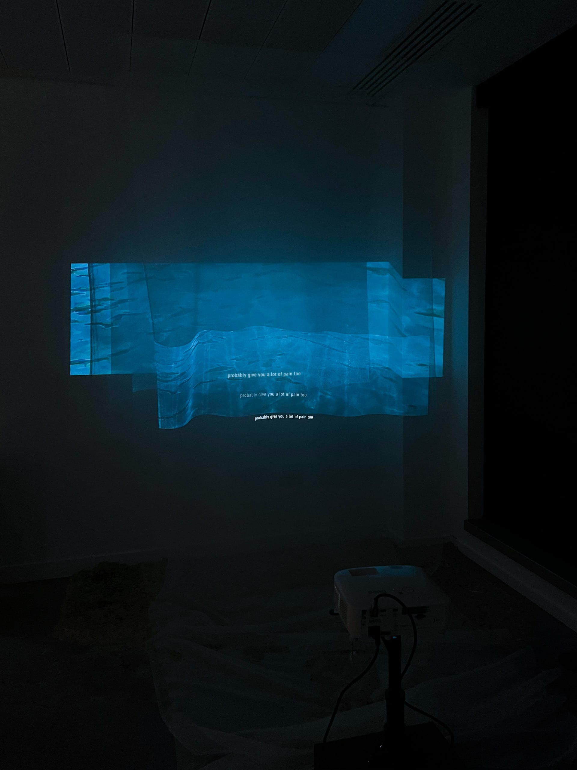 This is a picture of the installation of the experimental film.