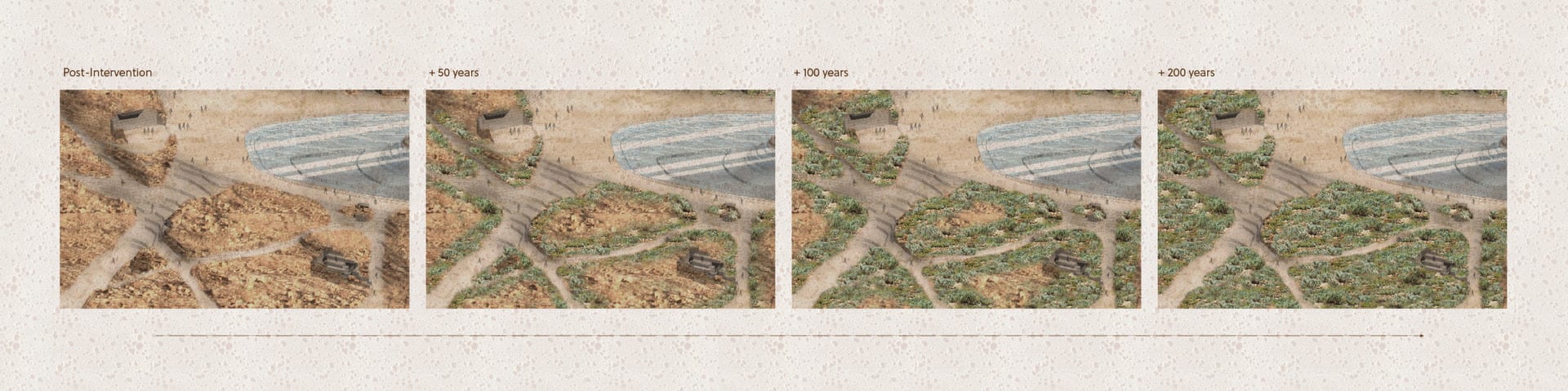 Slow timeline of vegetation regrowth within newly generated soil layer of intervention site