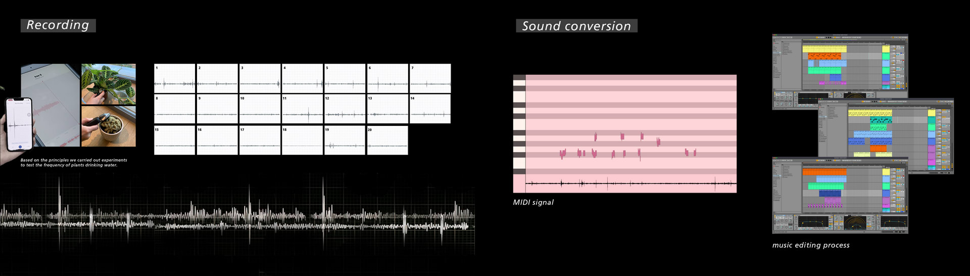 Music Development and Production Process