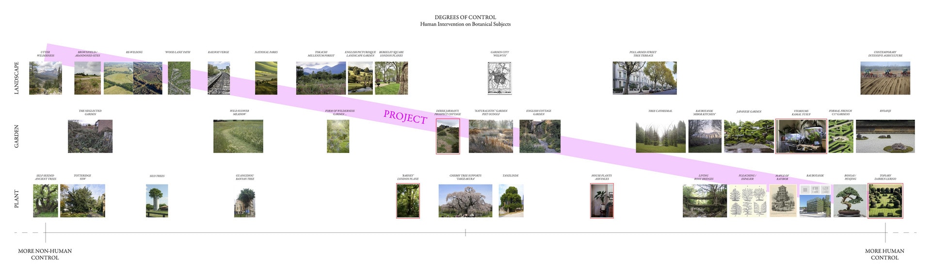 Diagram plotting a number of examples of gardening methods on a scale of more or less human control.