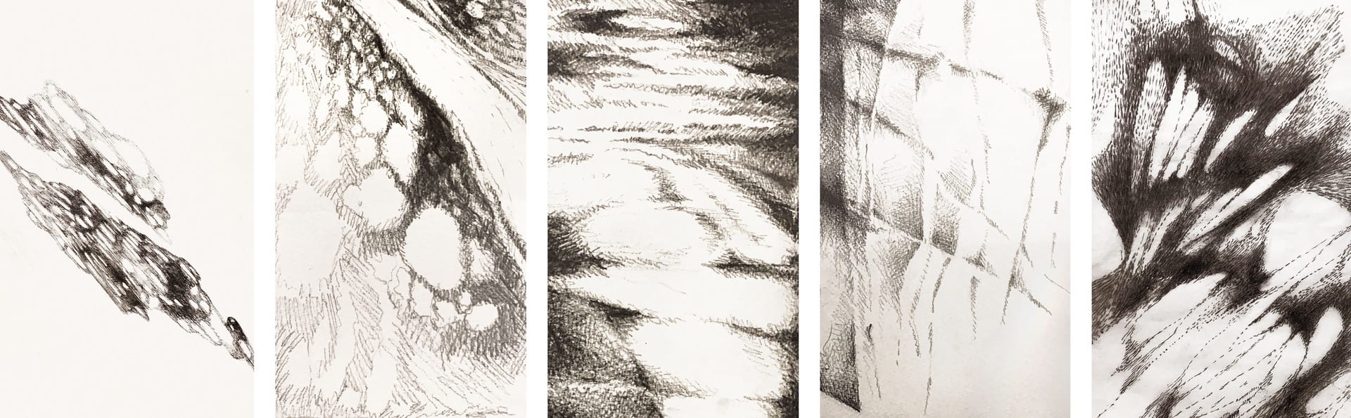sketches showing different shadow densities and patterns