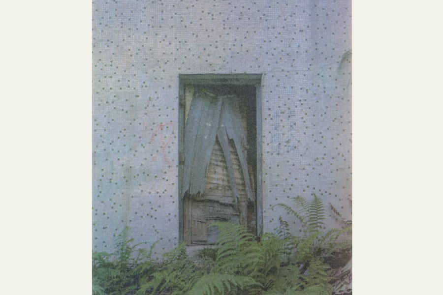 Haiyi Wang