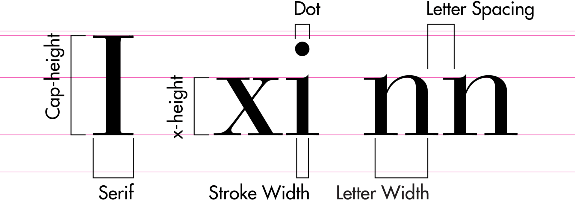 Five different letters illustrating how typeface proportions are measured