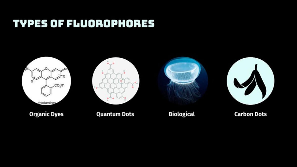 Types of Fluorophores