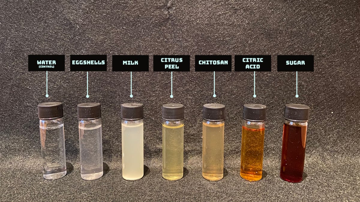 fluorophores I experimented with 