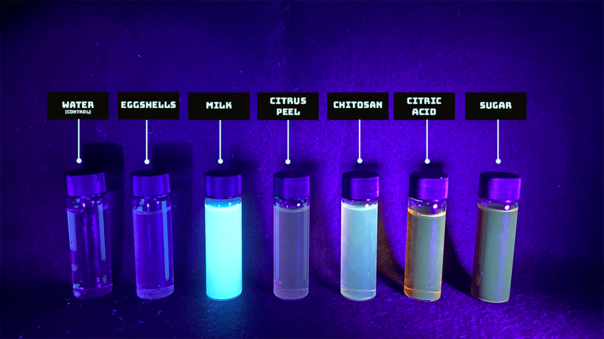 fluorophores under UV light