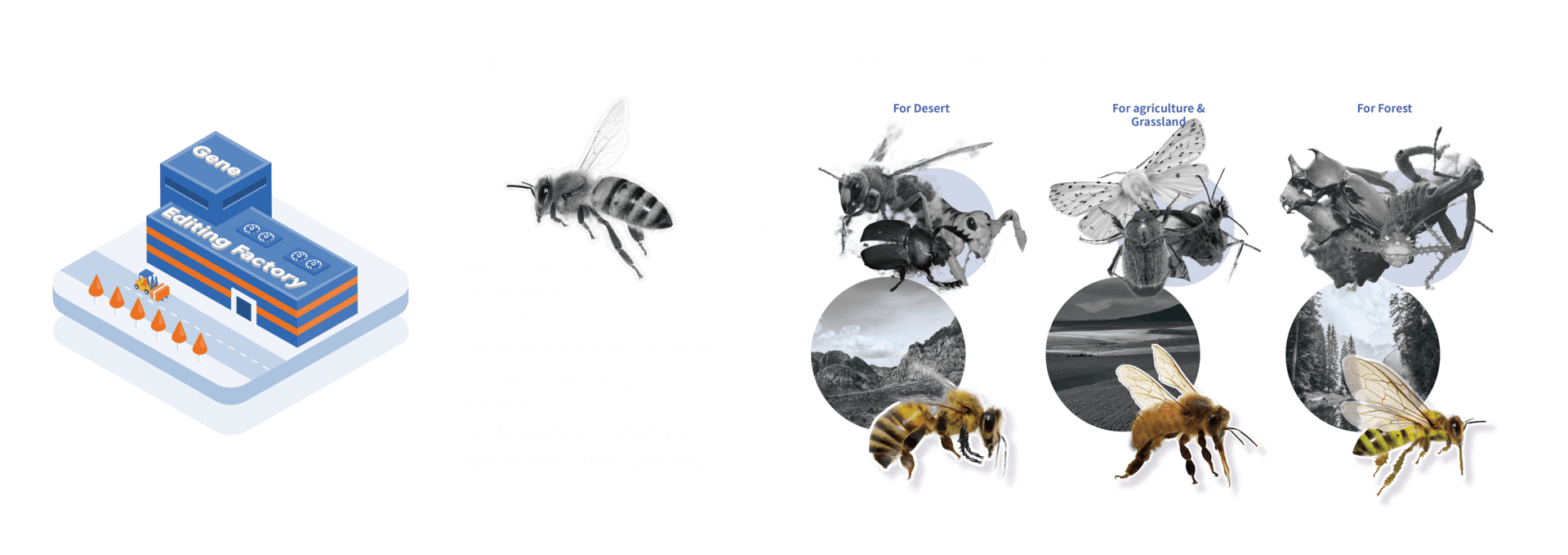 2-Gene Editing Factory