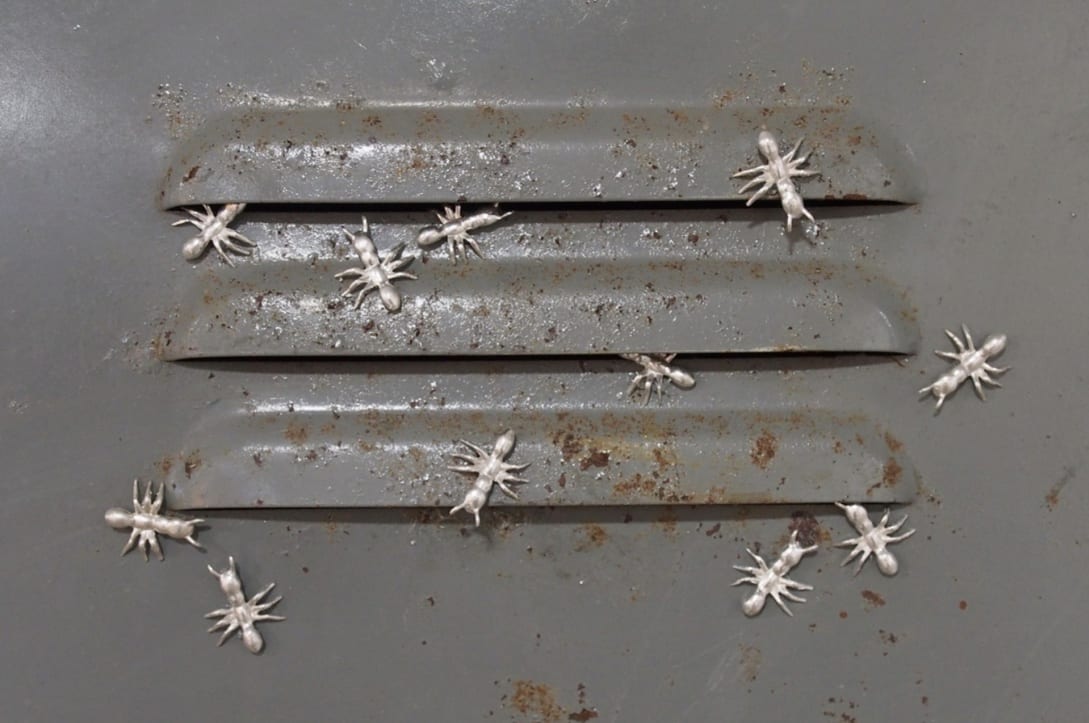 locker vent with silver ants swarming around it