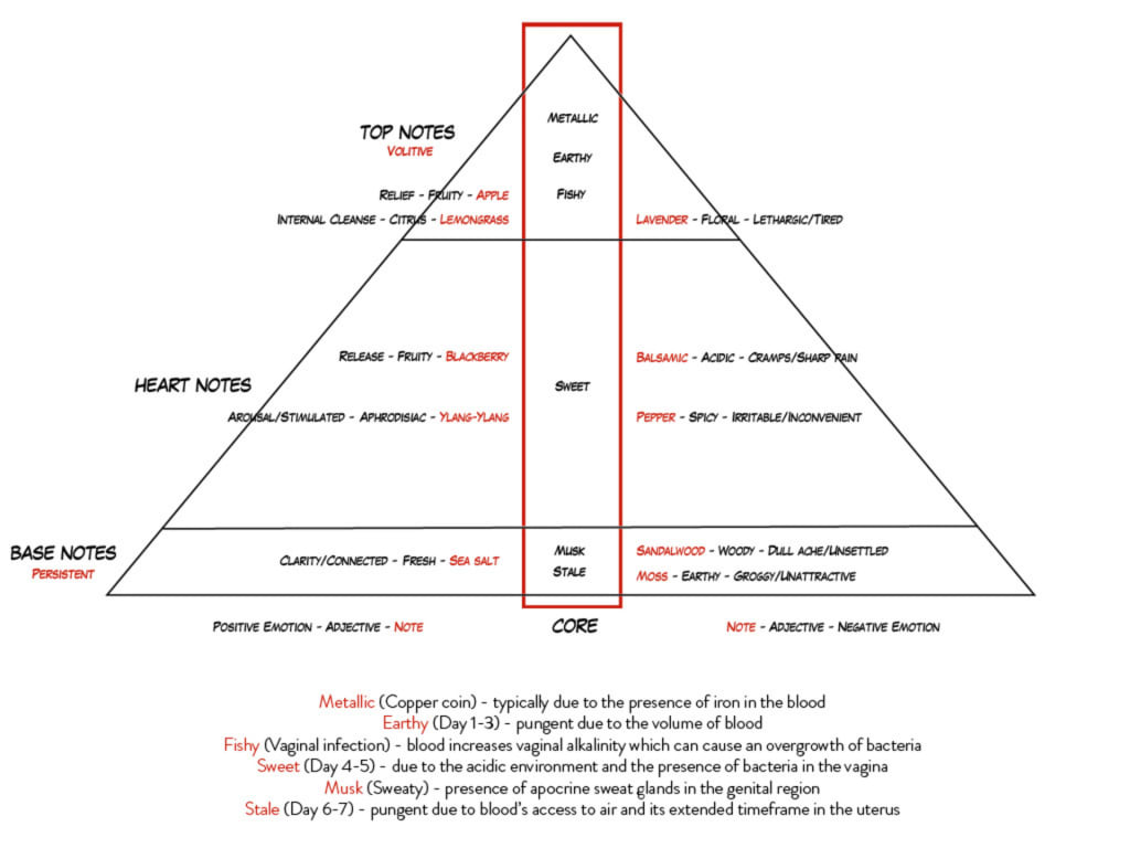 Illustrated fragrance pyramid for the 'Menstrual Mix' perfume 