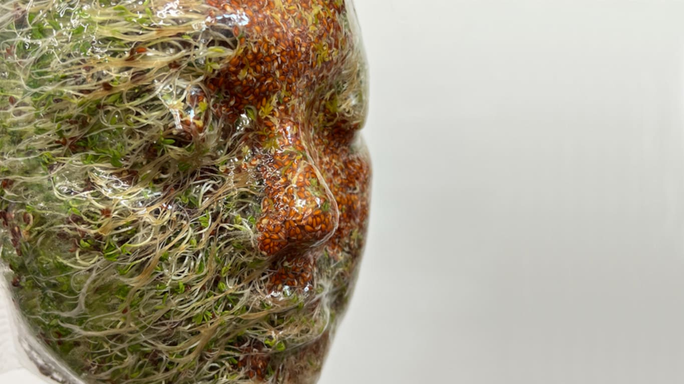 Face of artist made form micro green roots.