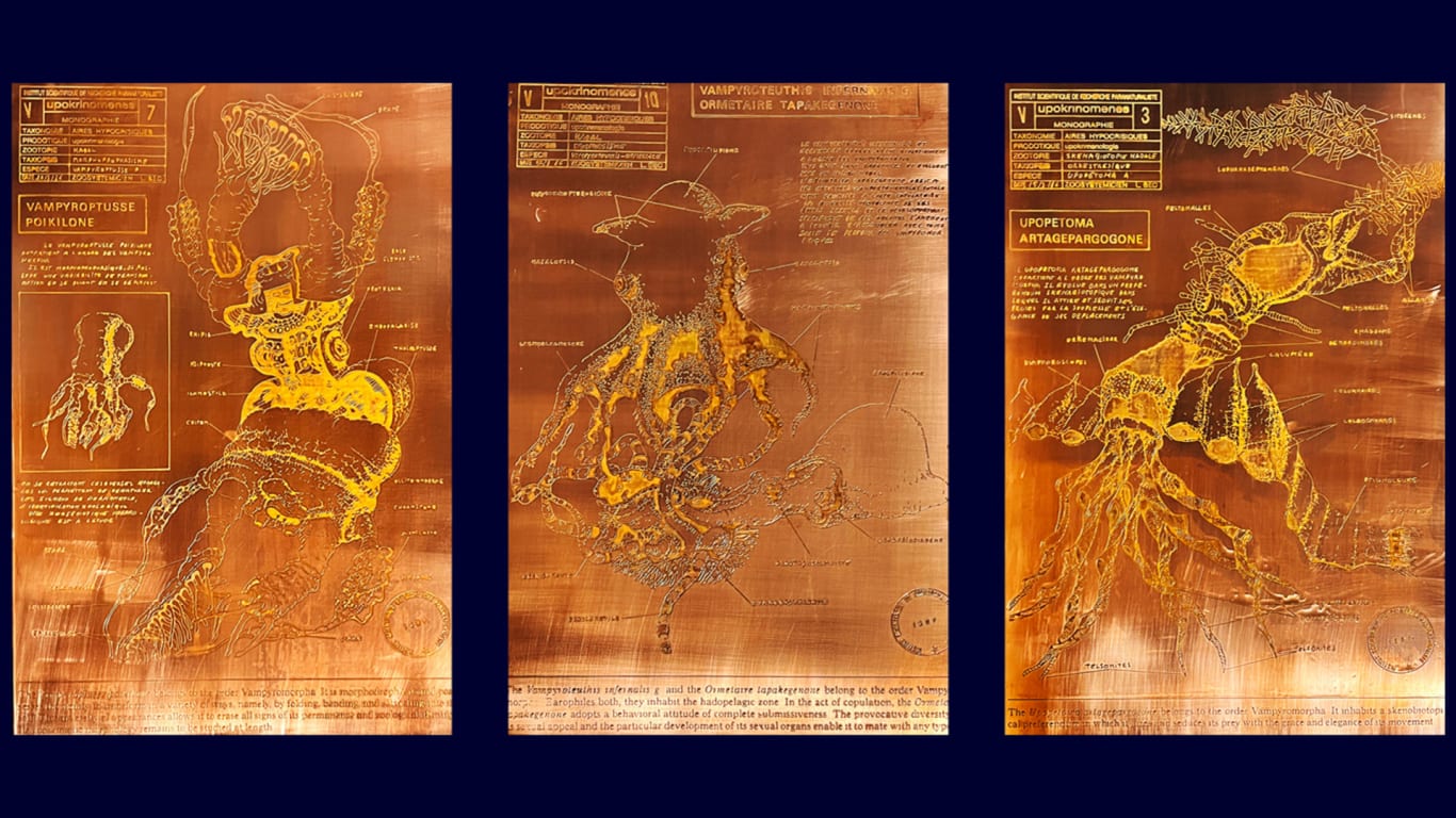 3 copper sheets with photo etched drawings of scientific research on the vampire squid from hell