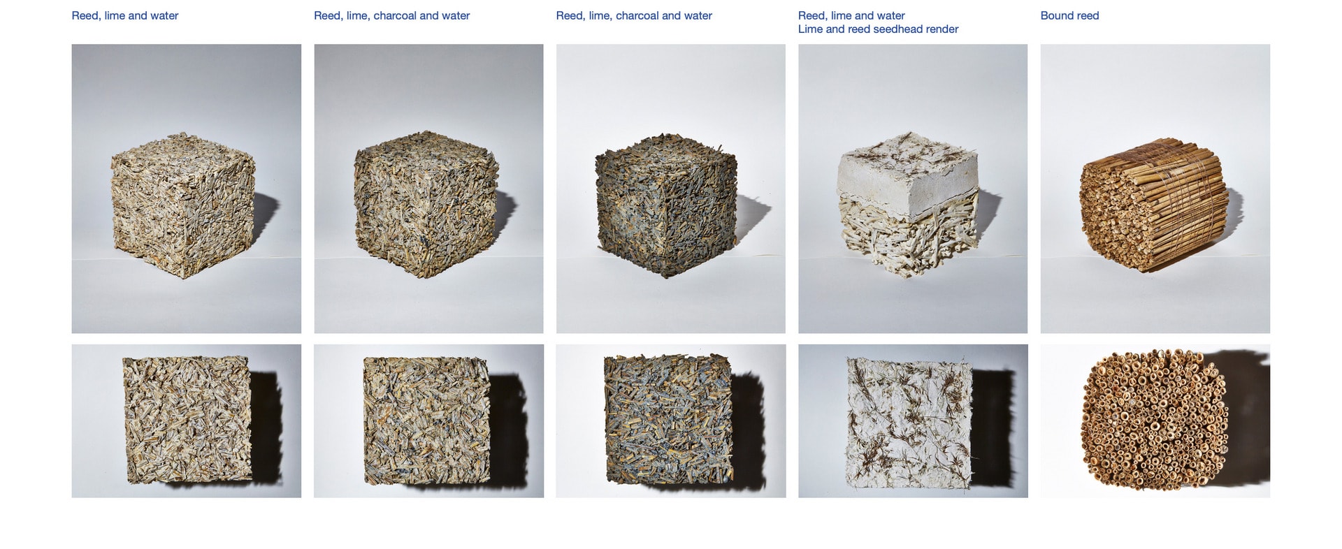 Thatch Tests, media item 1