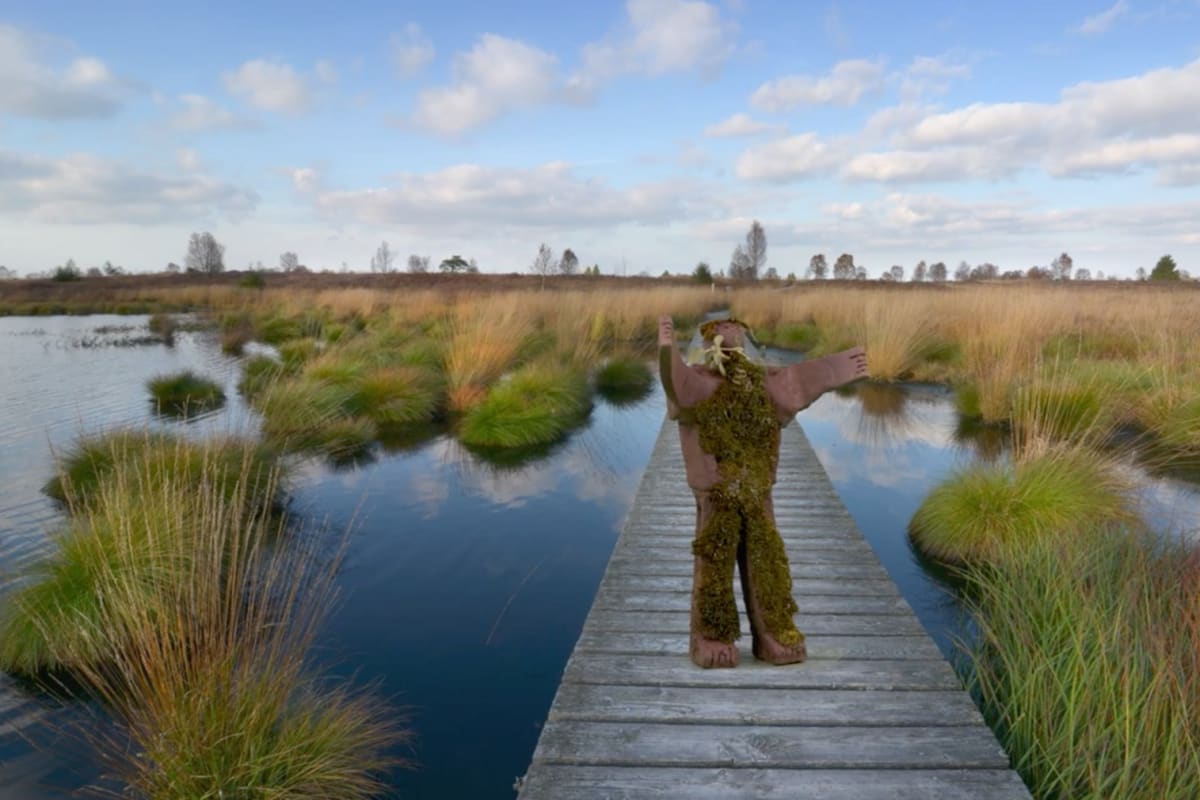 Peat & Peatlands