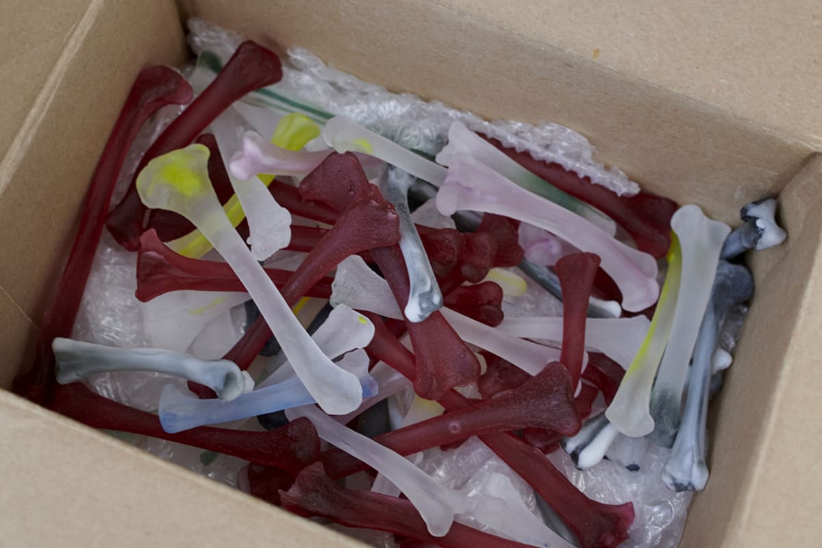 box of coloured bones