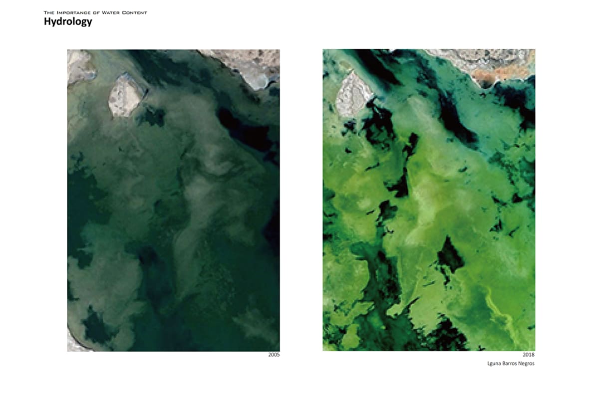 Eutrophication of water bodies