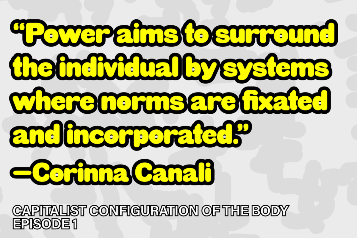 Quote from Corinna Canali, "Power aims to surround the individual by systems where norms are fixated and incorporated."