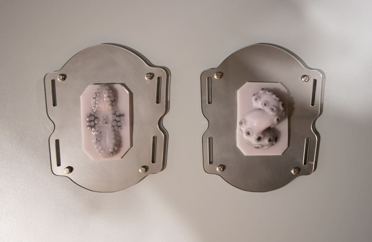 two silicone and steel wall based sculptures. 