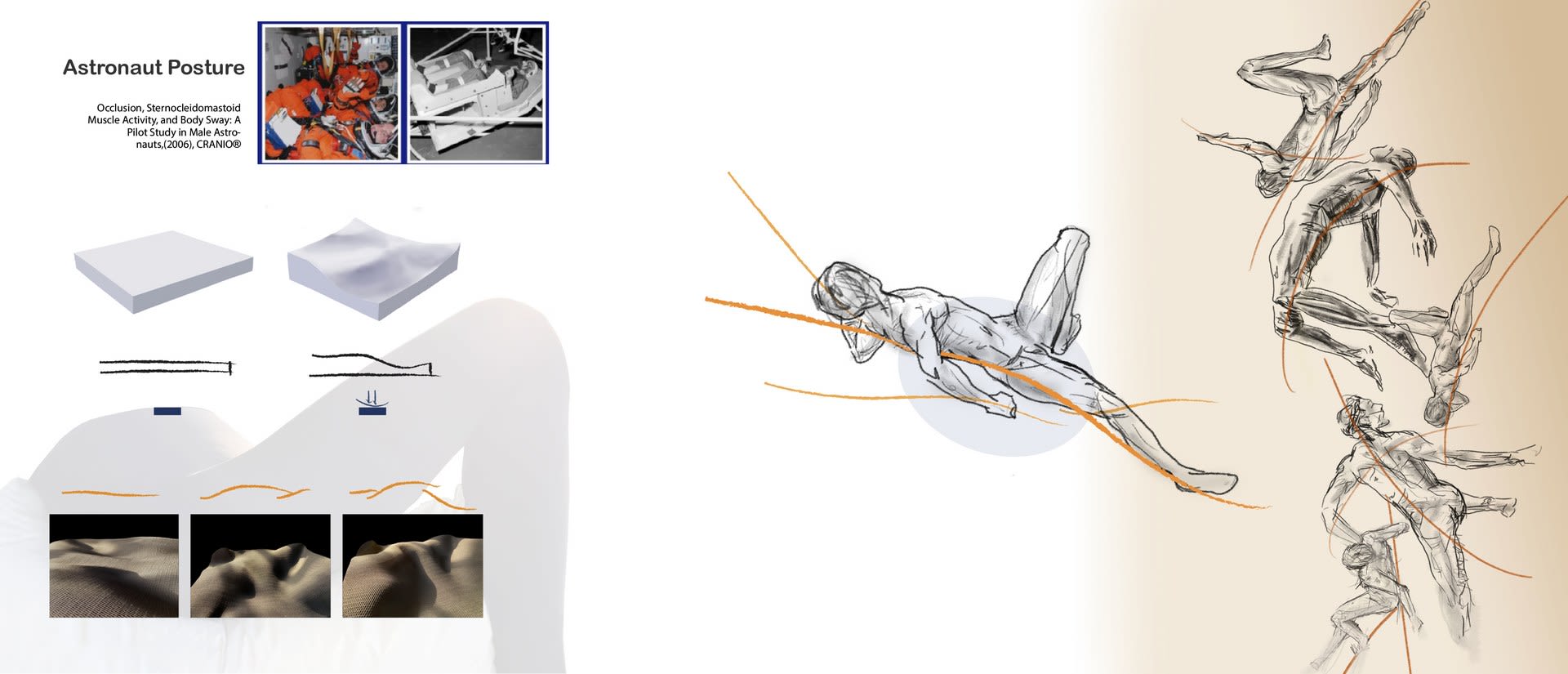 Zero-Gravity Posture- (Astronaut Posture) Studies