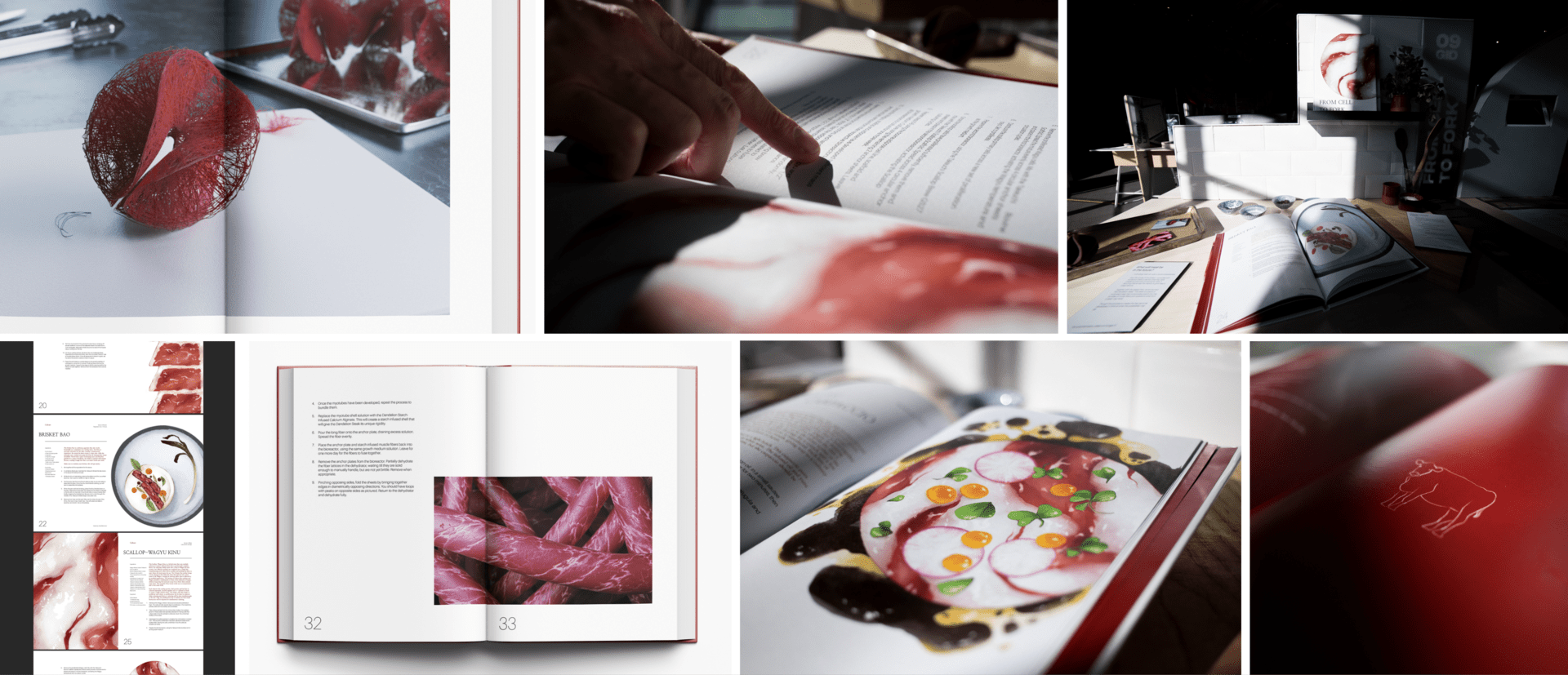 From Cell to Fork: A Cookbook of the Future, media item 5