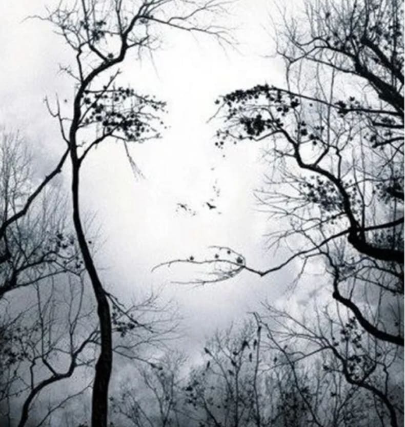 'Perceptions are controlled hallucinations; hallucinations are uncontrolled perceptions (Professor Anil Seth, Being You)