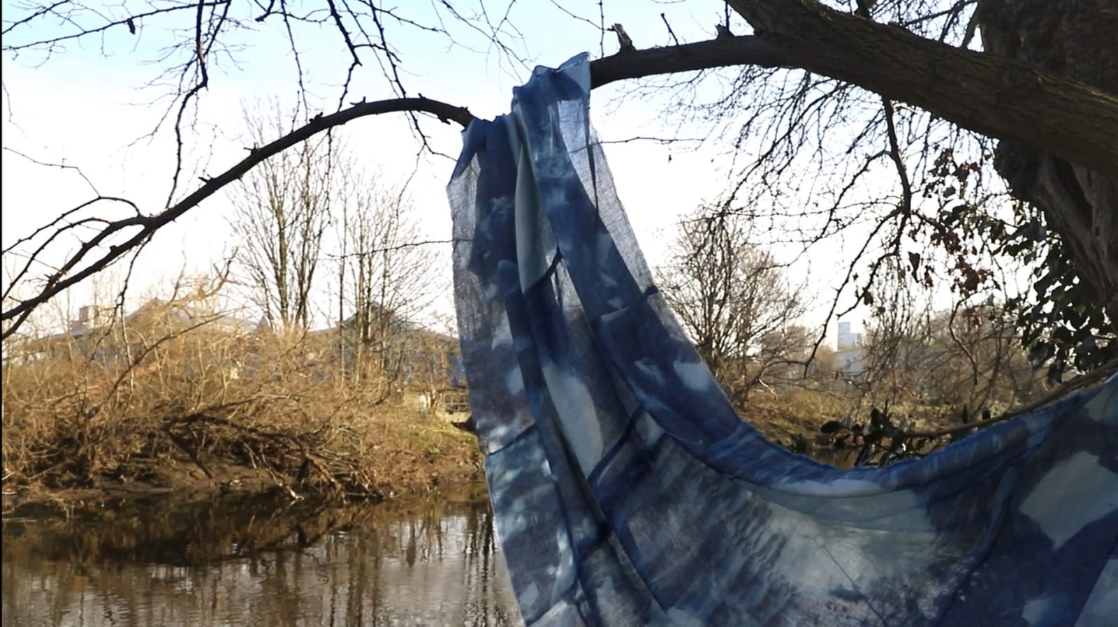 A photo of the art installation hanging over a branch of a tree along the river. 