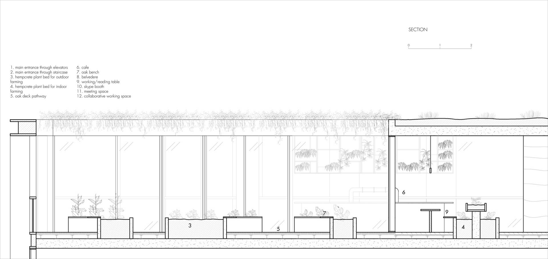 The Farm Club: Section | Digital Drawing