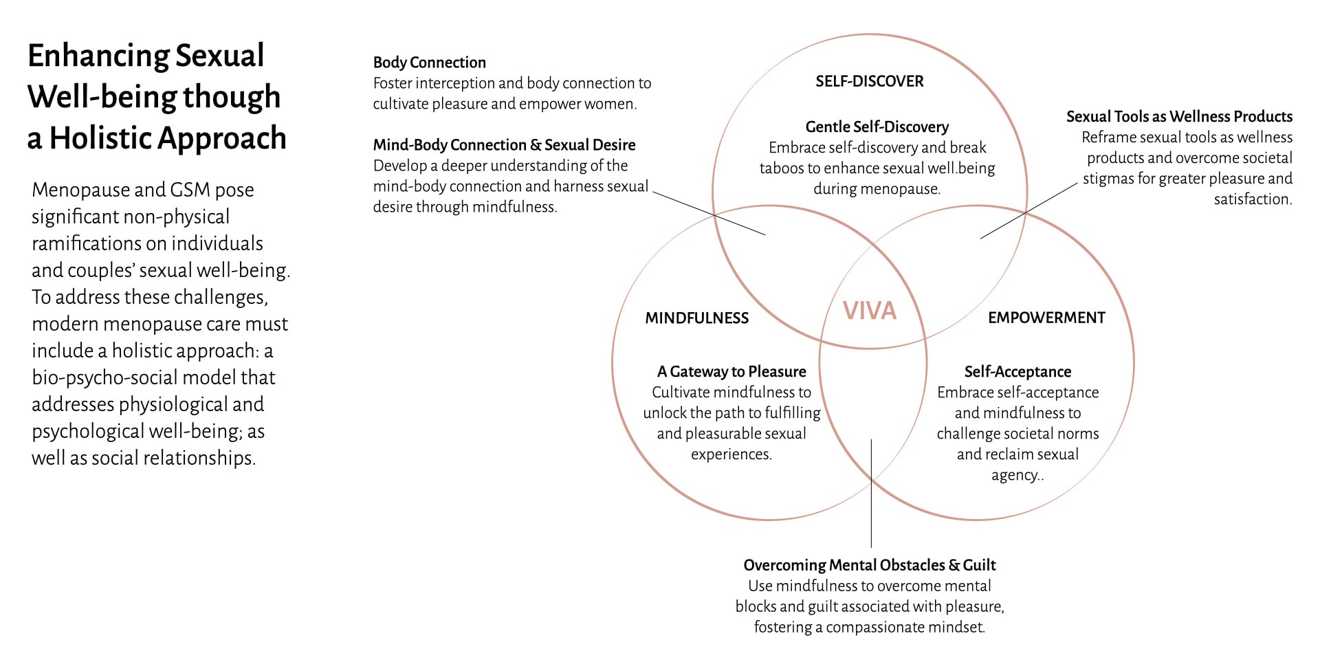 Venn Diagram showing the 3 main aspects of the holistic approach and their overlapping sections